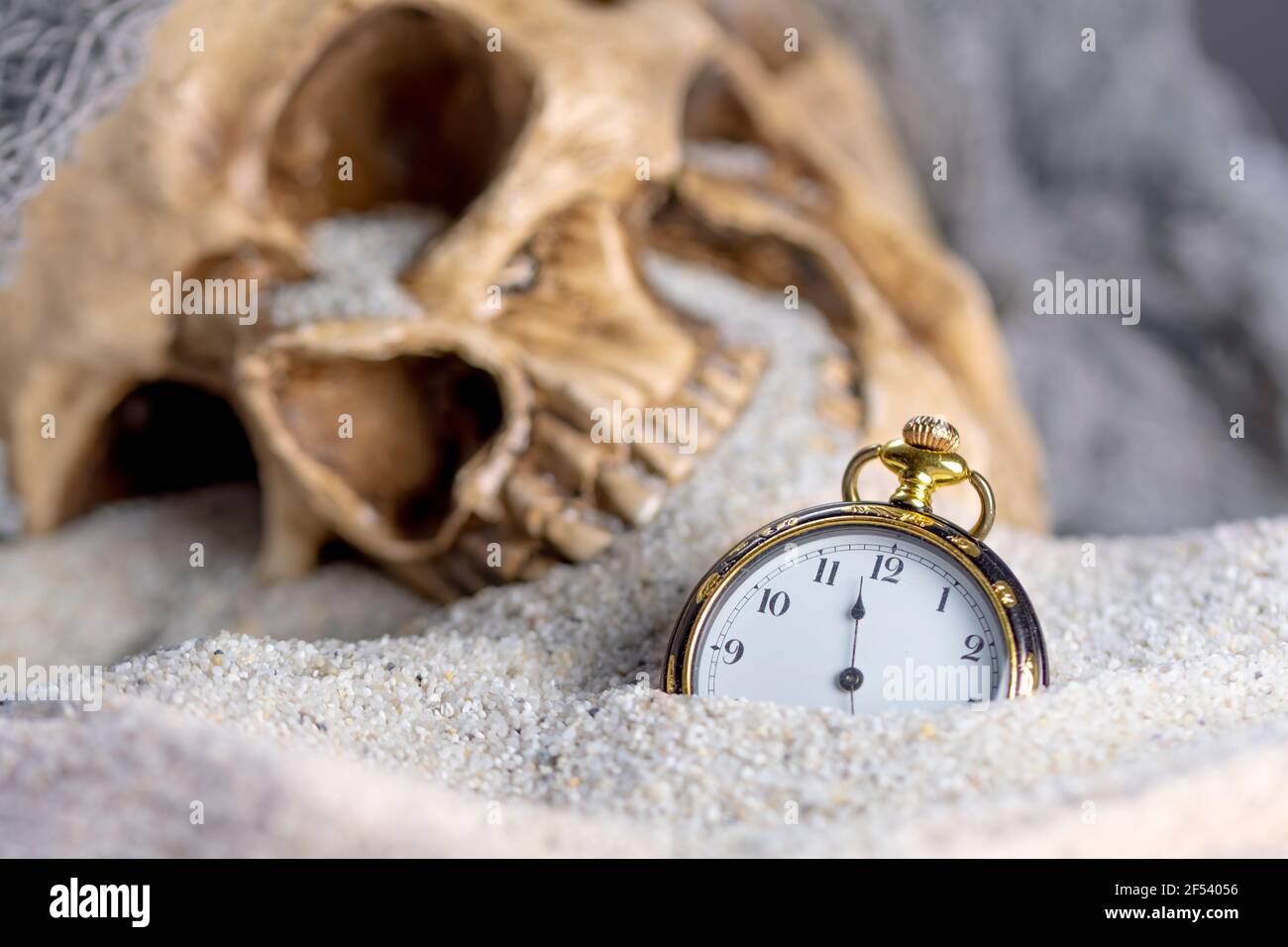 Macro fotografía concepto tiempo y muerte un reloj de bolsillo enfocado en  el fondo un cráneo de juguete borroso Fotografía de stock - Alamy