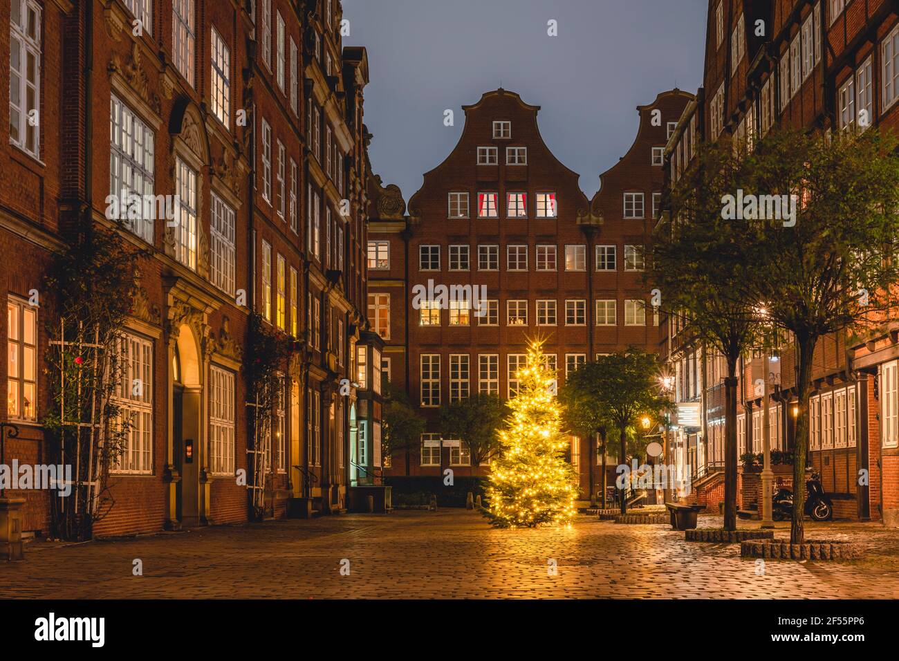 Alemania, Hamburgo, Árbol de Navidad en Peterstrasse en el barrio de los Compositores Foto de stock