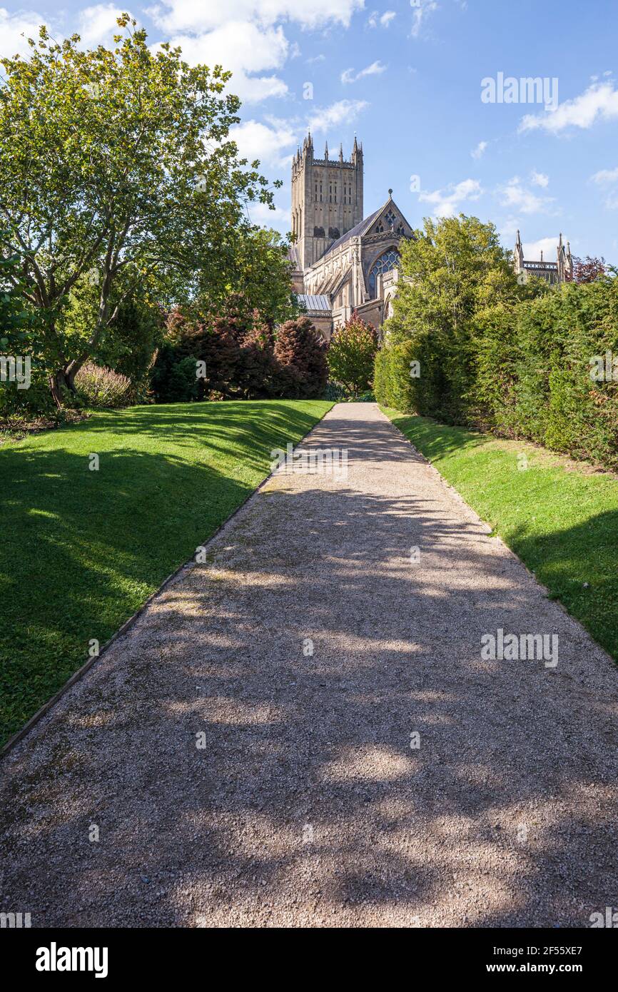 Wells Catedral vista desde los jardines del Palacio Episcopal, Wells, Somerset, Reino Unido Foto de stock