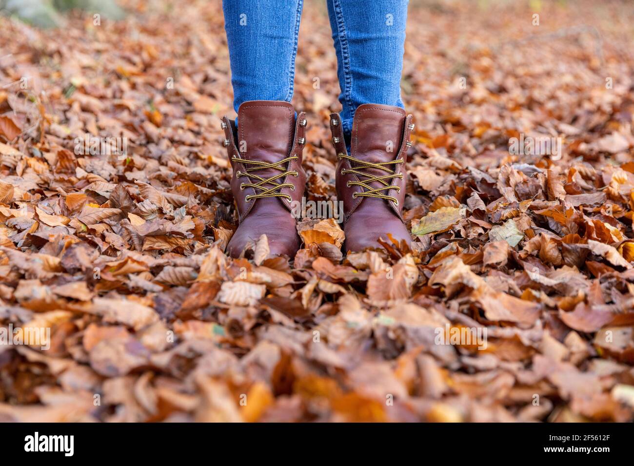 Mujer en botas de pie en hojas de otoño mientras que el senderismo en bosque Foto de stock