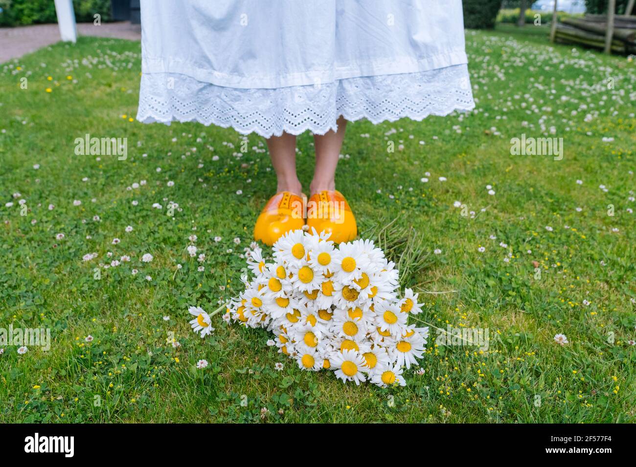 Ramo de flores hermosas margaritas blancas en el jardín de verano.  Camomiles en hierba verde. Mujeres vestidas con vestido blanco y zapatos  tradicionales holandeses de madera - zuecos amarillos klompen en el