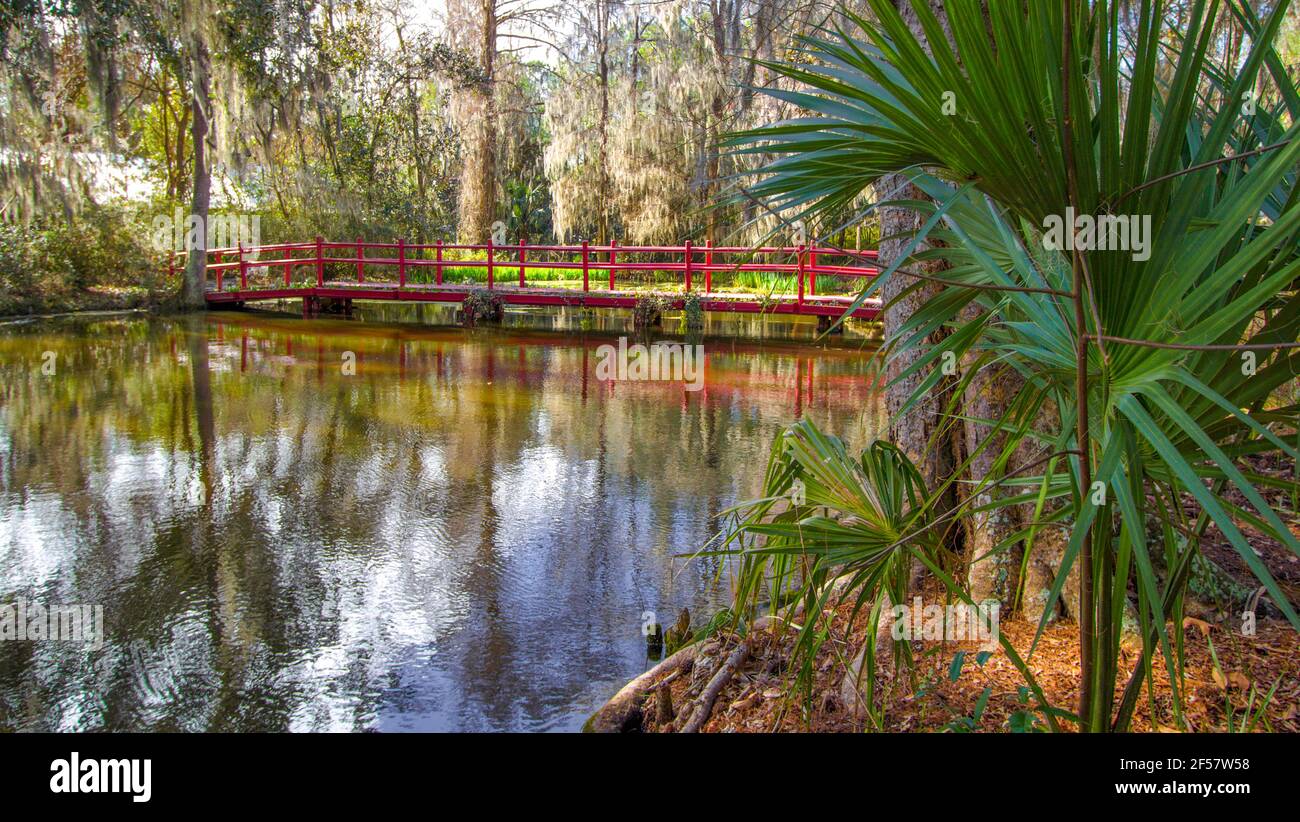 Bosque costero de Carolina con puente rojo para caminar en Magnolia Gardens en Charleston, Carolina del Sur Foto de stock