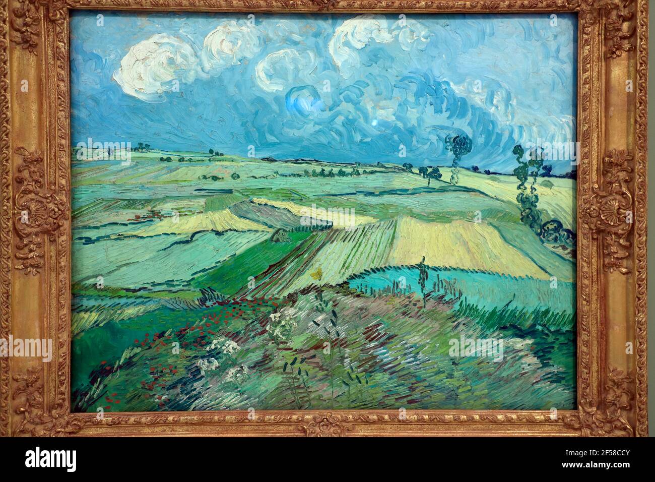 Vista cerrada de los campos de trigo de Vincent van Gogh después de la