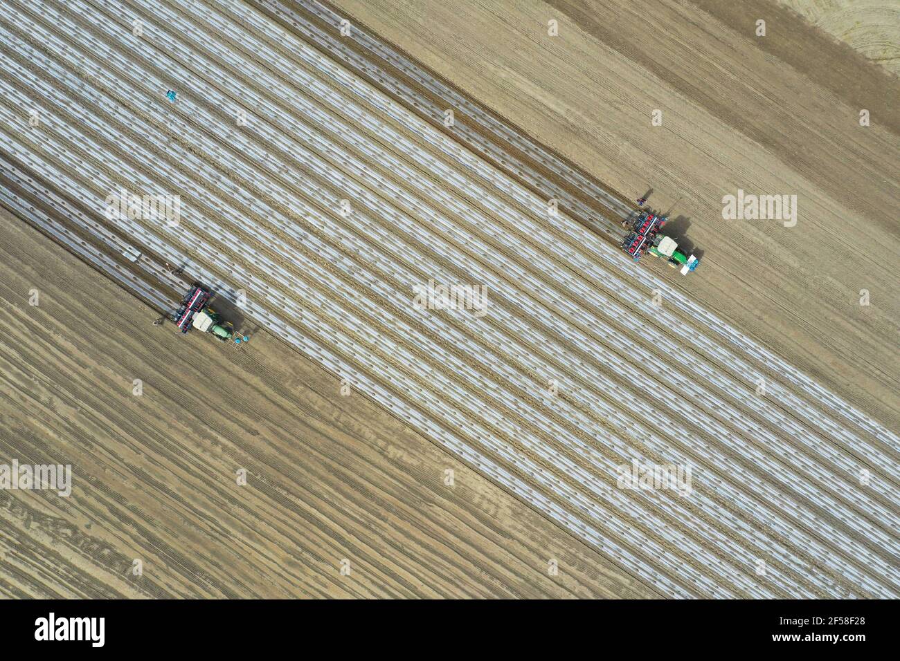 XINJIANG, CHINA - 24 DE MARZO de 2021 - los plantadores equipados con el sistema de navegación de posicionamiento por satélite Beidou siembran algodón en una granja del Regimiento 49th de la División 3rd del cuerpo de producción y Construcción de Xinjiang en Xinjiang, capital de China, 24 de marzo de 2021. (Foto de Chen Yang / Costfoto/Sipa USA) Foto de stock