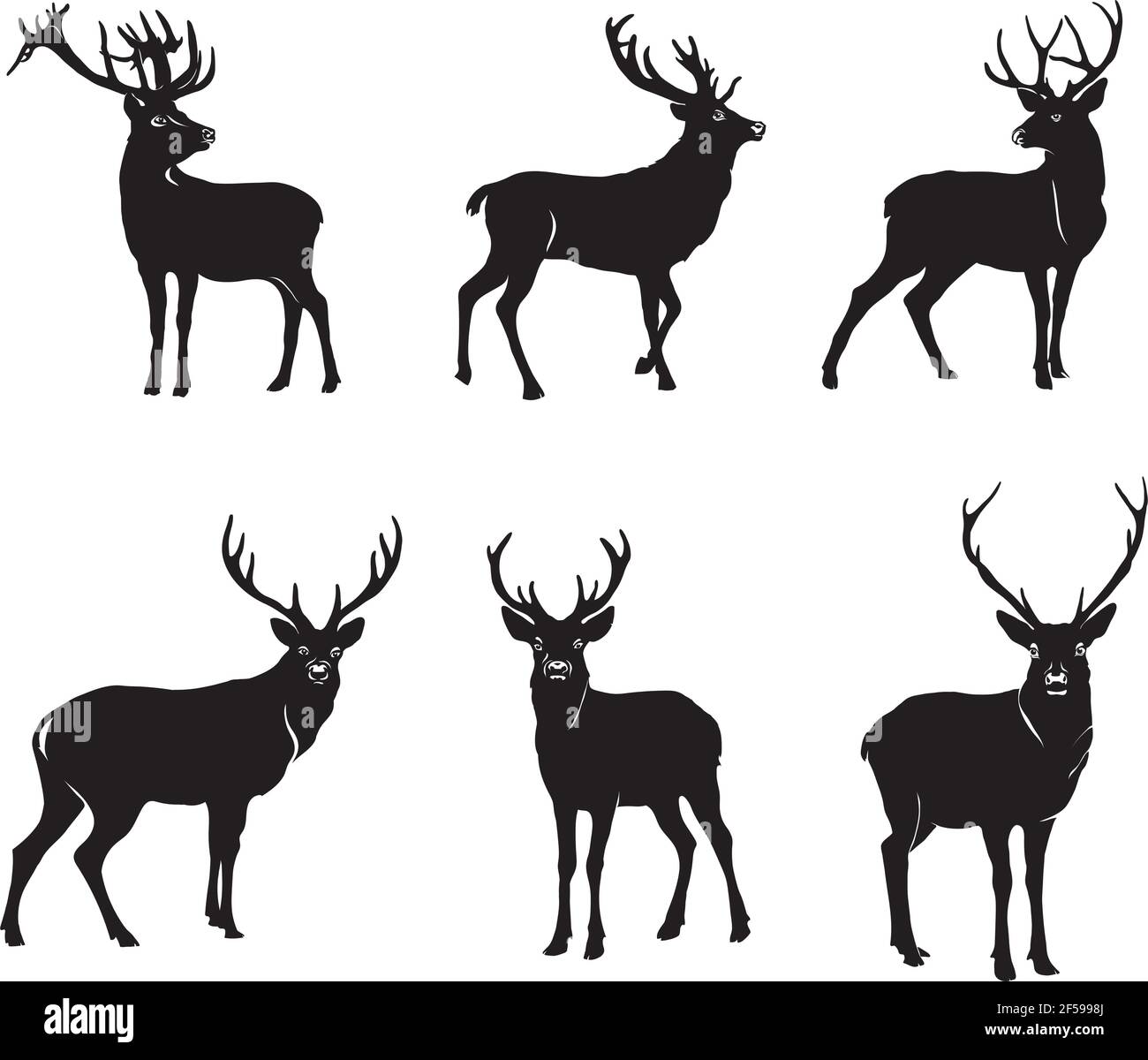 Ciervo, dibujo de ciervos, retrato, vector, ilustración, blanco y negro, silueta Ilustración del Vector