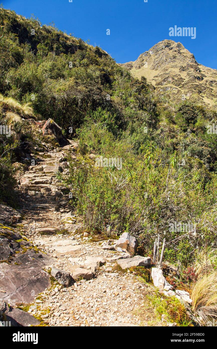 Choquequirao trekking camino inca, camino de Coquequirao a Machu Picchu en Perú Foto de stock