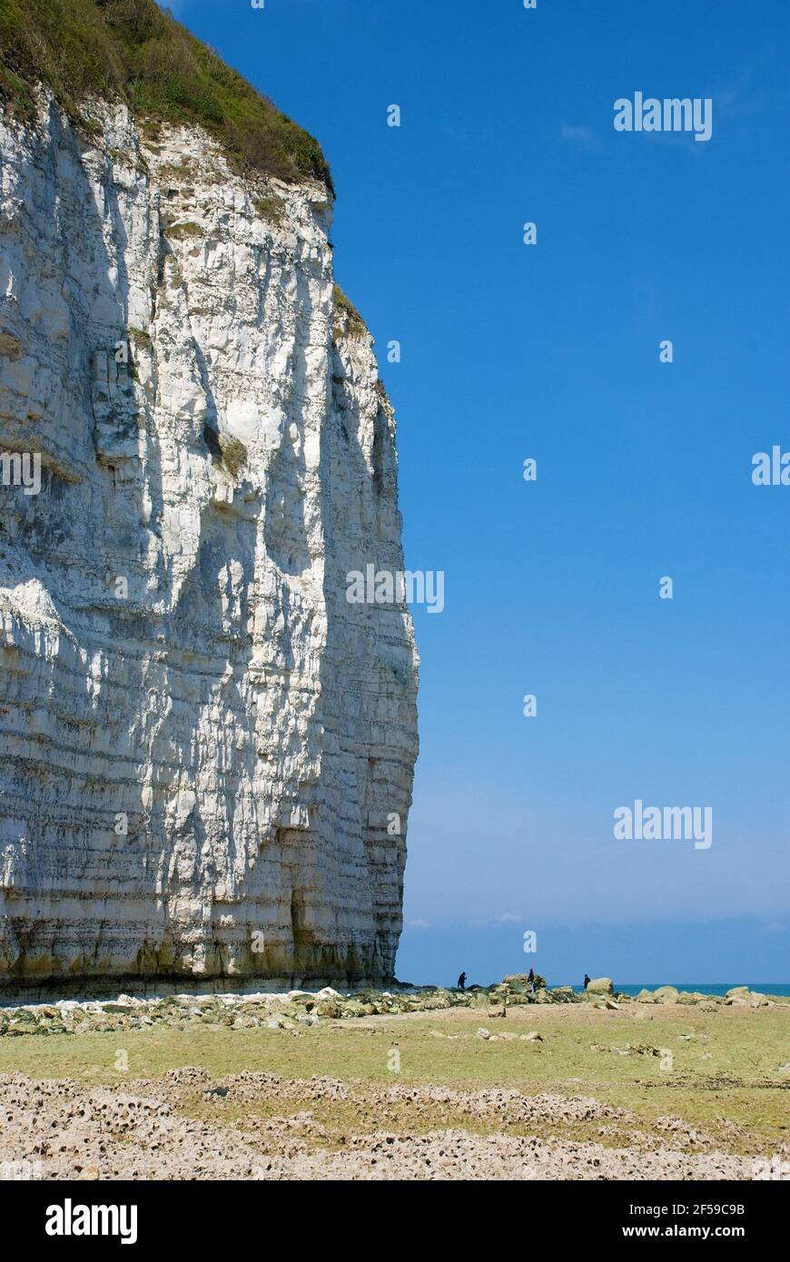 Falaise d'Aval acantilados cerca de Yport en la marea baja Foto de stock