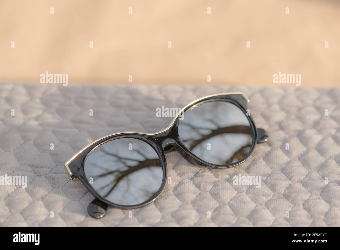 Modelo de gafas de sol de ojo de gato de moda para mujeres con lentes de  plata redonda grandes y marco negro disparar fuera en un día soleado  closeup. Enfoque selectivo Fotografía