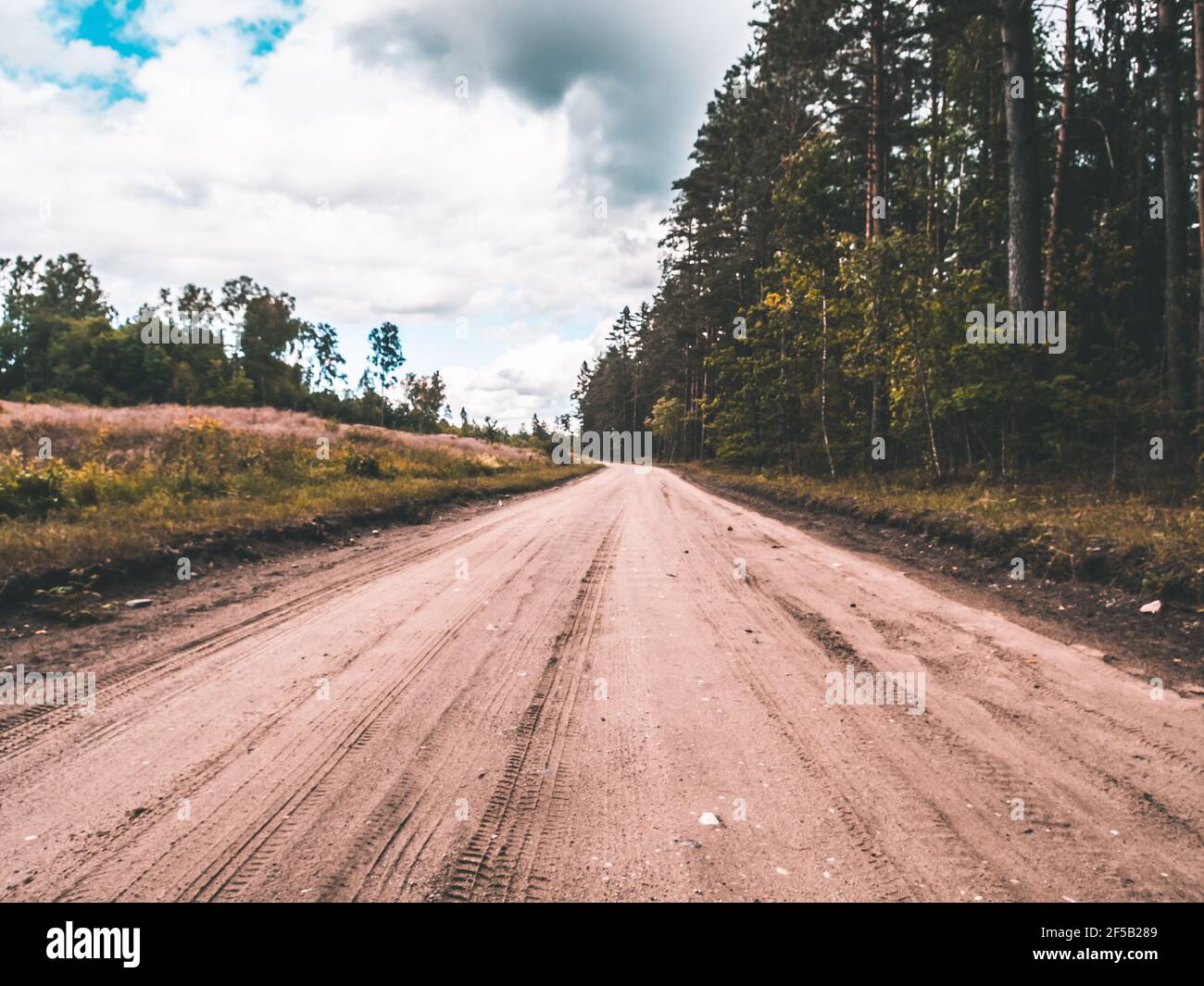 Verano Country Road con árboles junto al concepto Foto de stock