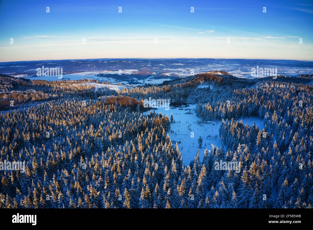 Luftaufnahme vom winterlichen Wald am Abend auf dem Hohen Meißner Foto de stock