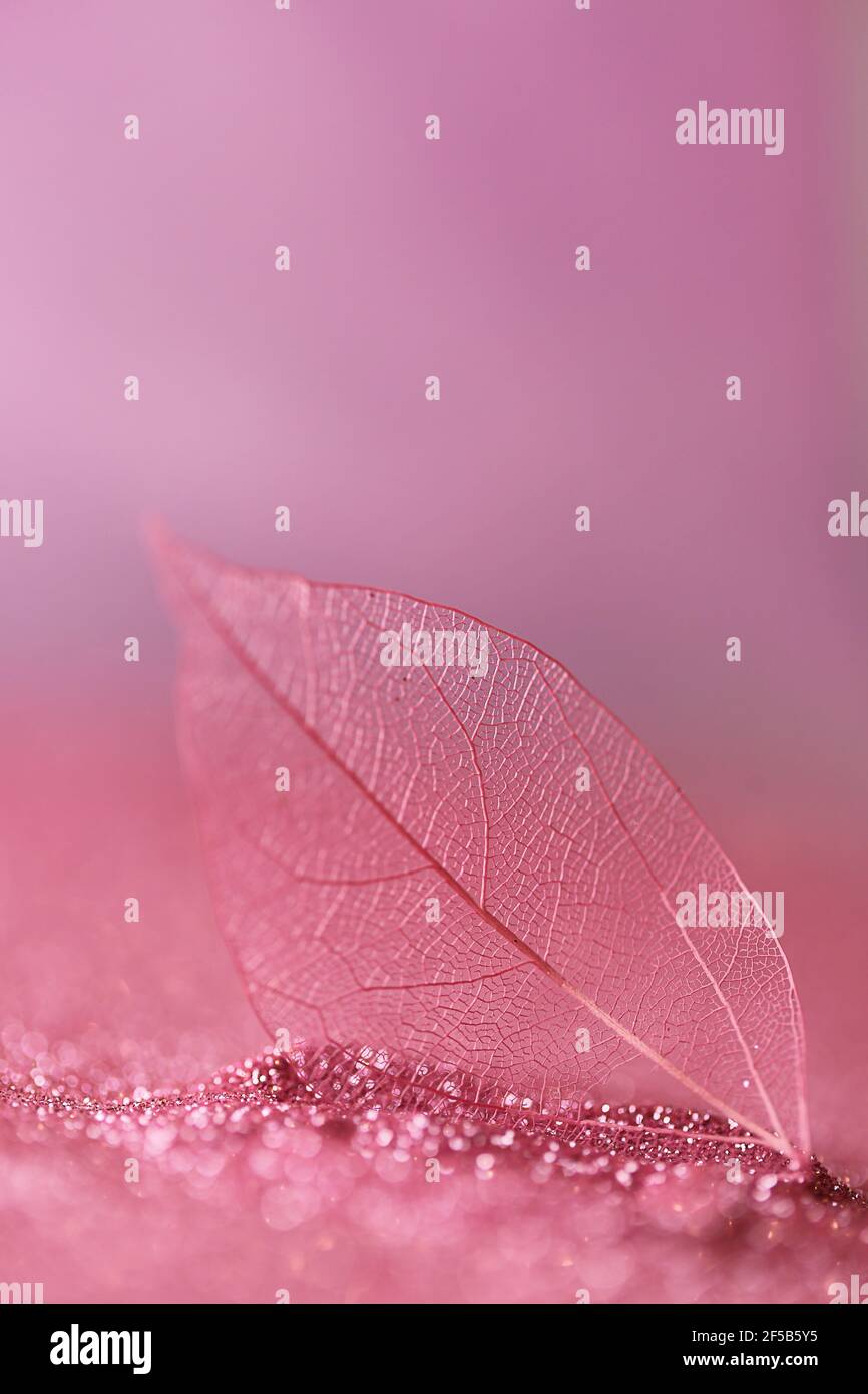 Fondo rosa claro fotografías e imágenes de alta resolución - Alamy
