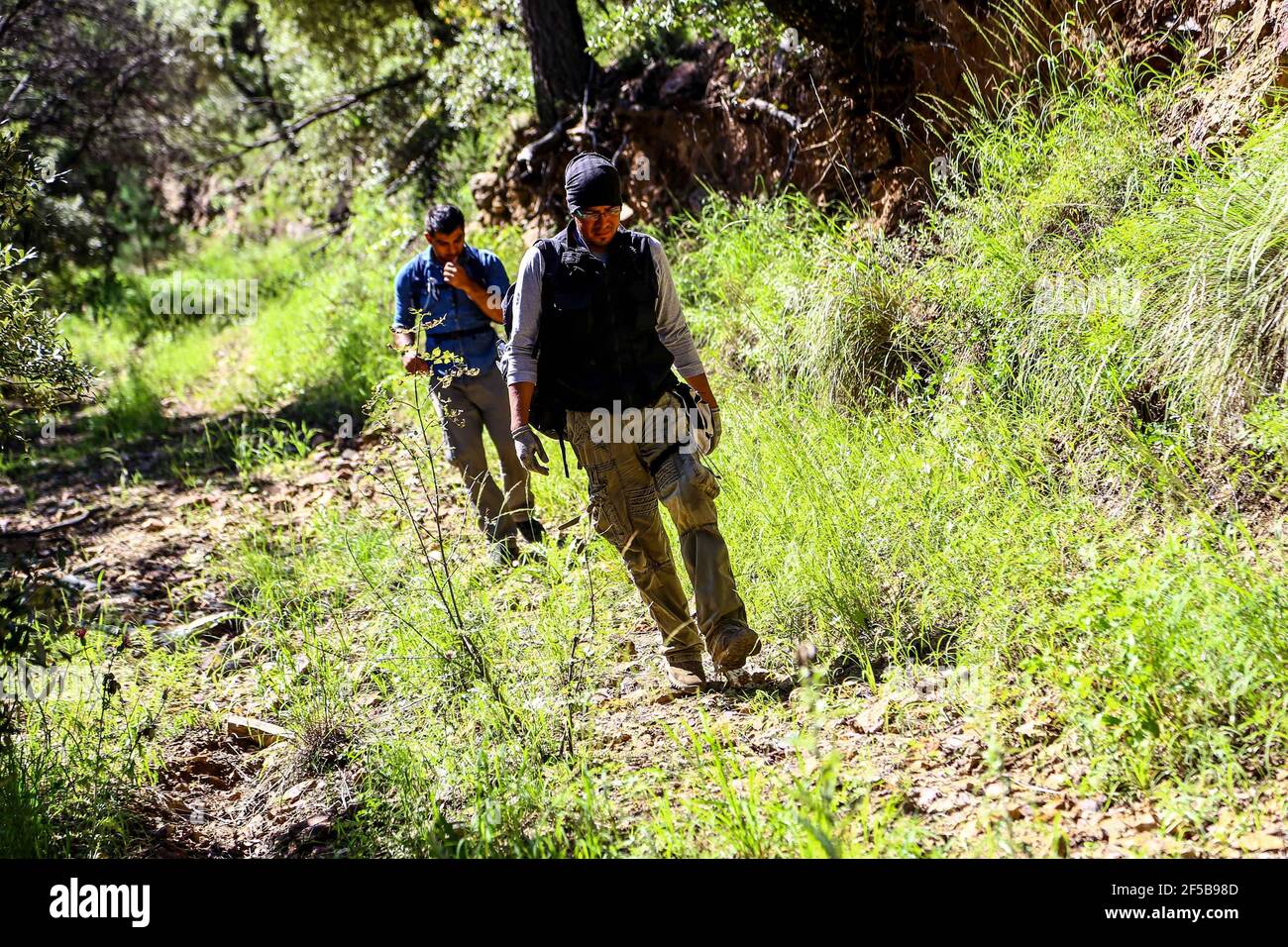 Diego Barrales especialista en Escorpiones. Veneno Madrean Diversity Expeditions con la Comisiòn Nacional de Areas Naturales protegidas, CONANP, en la Sierra del Tigre, municipio de Nacozari, Sonora. México. (CreditoFoto:LuisGutiérrez NortePhoto.com) Foto de stock