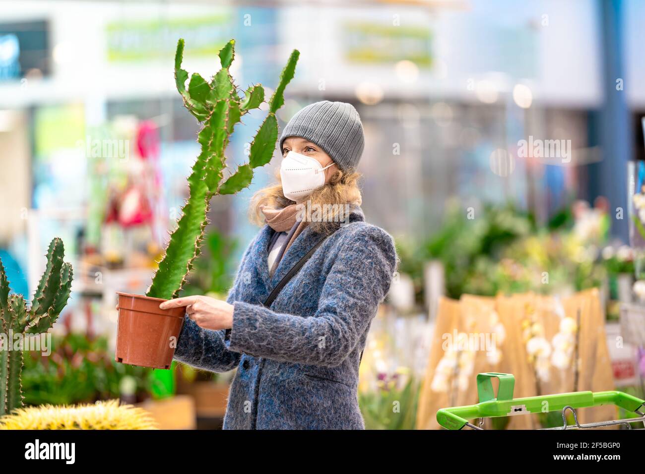 comprar un cactus en una maceta de flores en la tienda Fotografía de stock  - Alamy