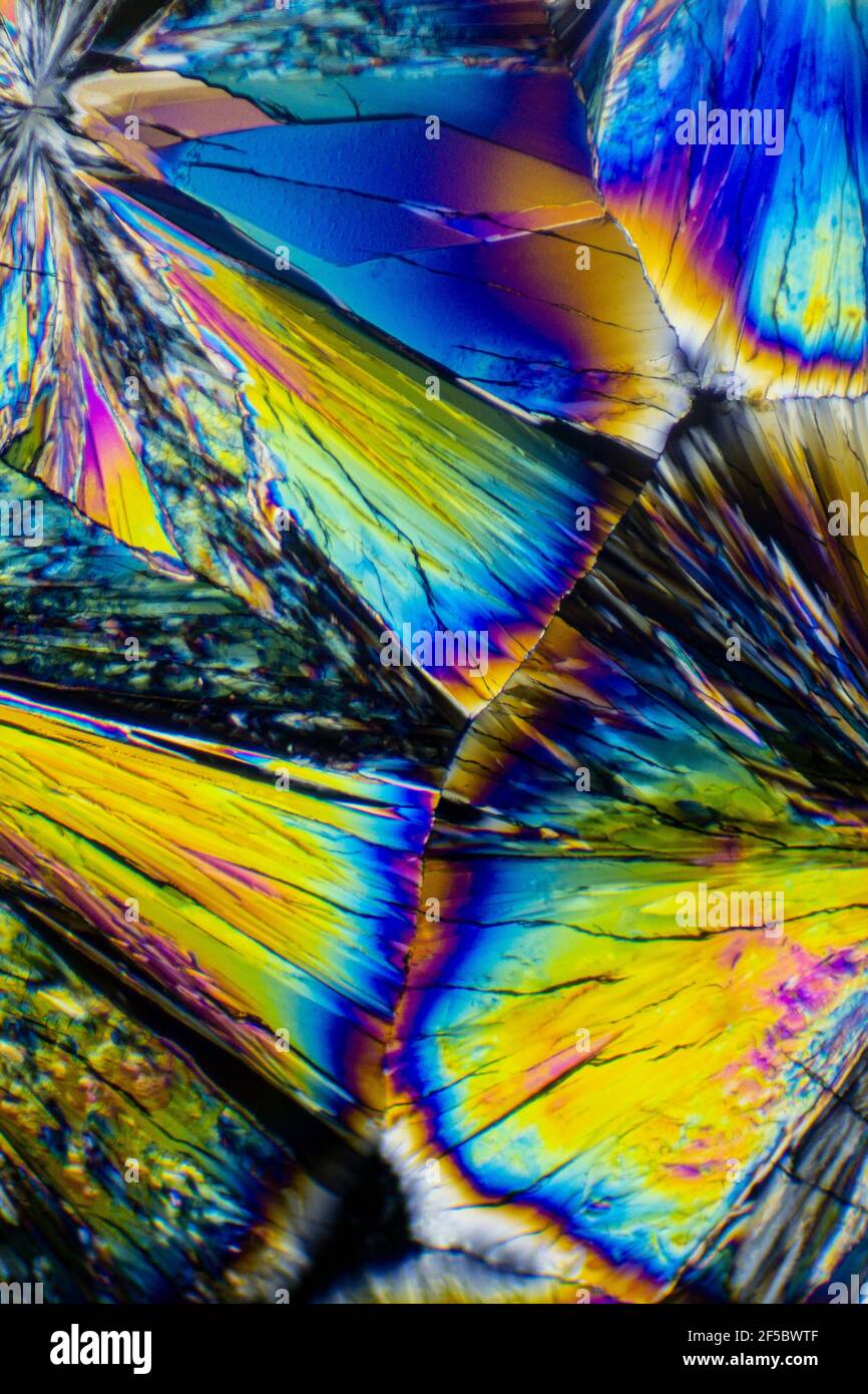 Esta es una foto microscópica de cristales de ácido cítrico. Utilicé un filtro polarizador especial para sacar los colores brillantes y las texturas del cristal. Foto de stock