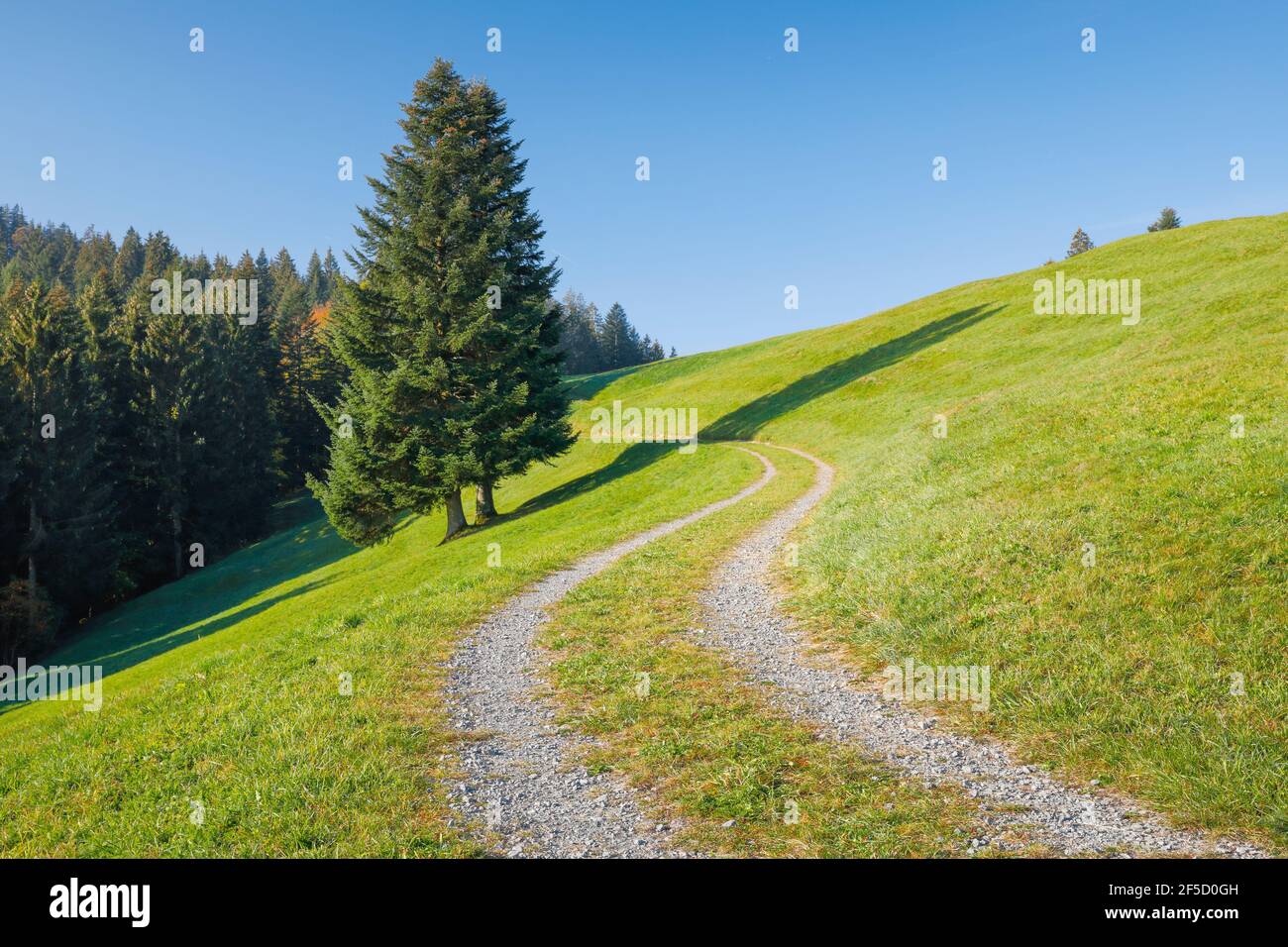 Geografía / viajes, Suiza, camino de tierra en el Ratenpass, Zug, Derechos adicionales-liquidación-Info-no-disponible Foto de stock