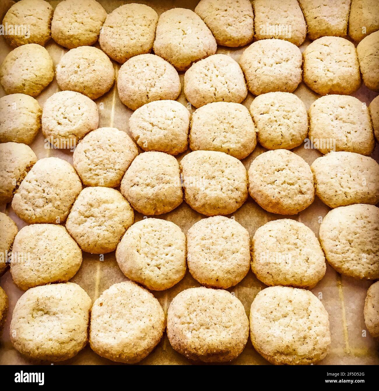 patrón de cuadrícula de galletas de fideos recién hechas en casa en un fila en una bandeja para hornear Foto de stock