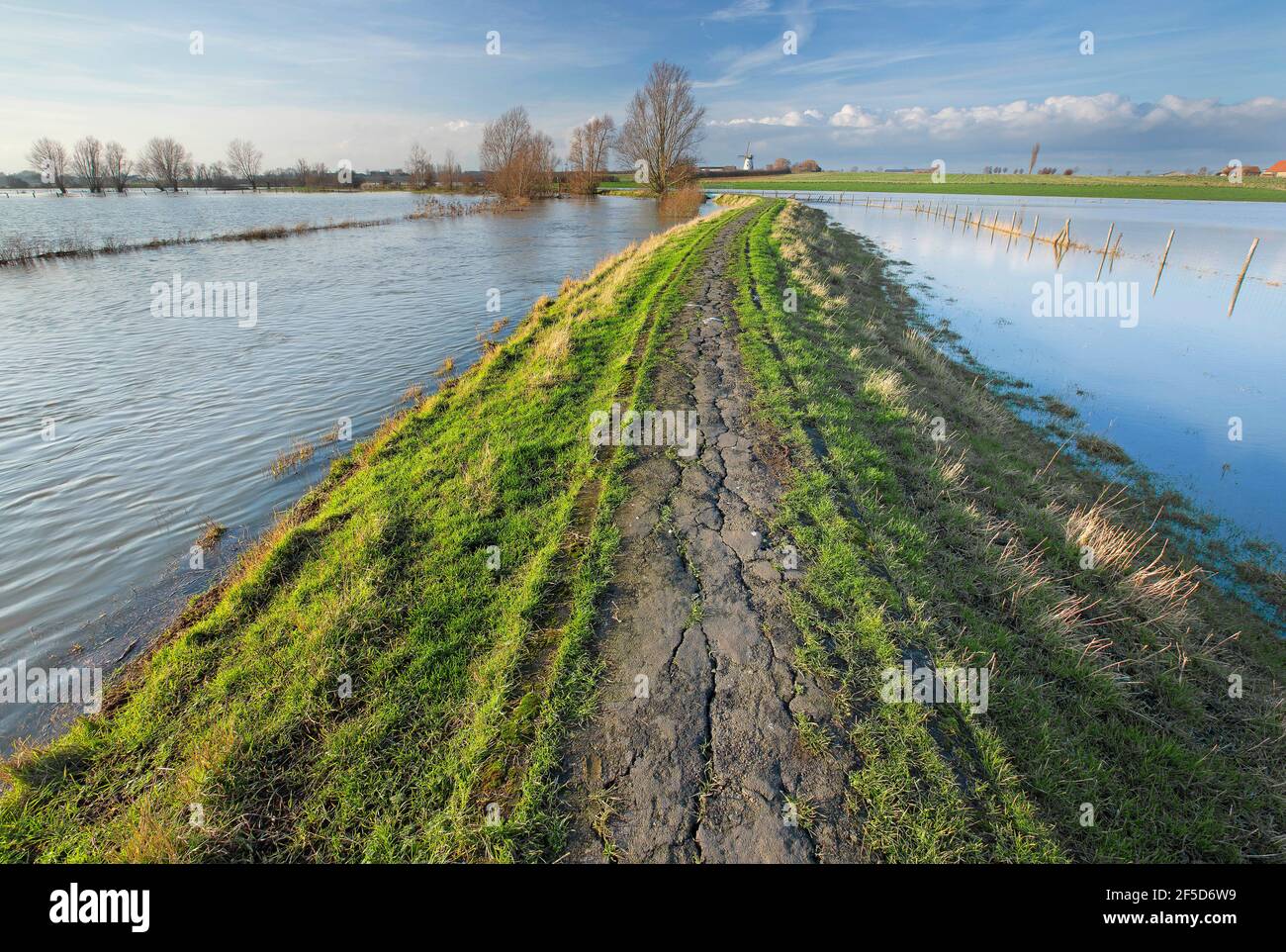 dique a lo largo del río IJzer, Bélgica, Flandes Occidental, IJzerbroeken, Diksmuide Foto de stock