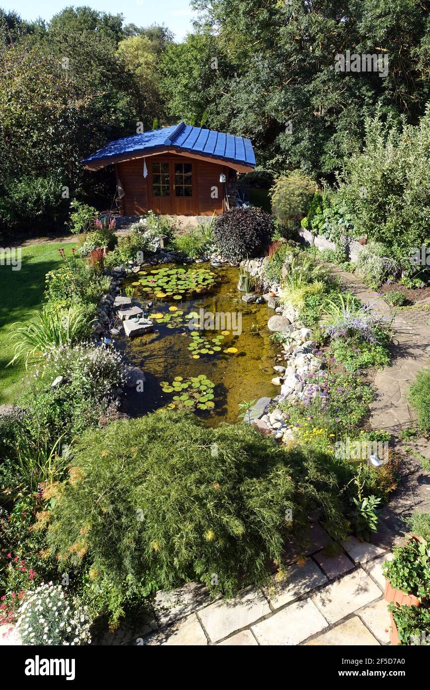 Jardín casi natural con estanque de nenúfares y arbor, Alemania Foto de stock