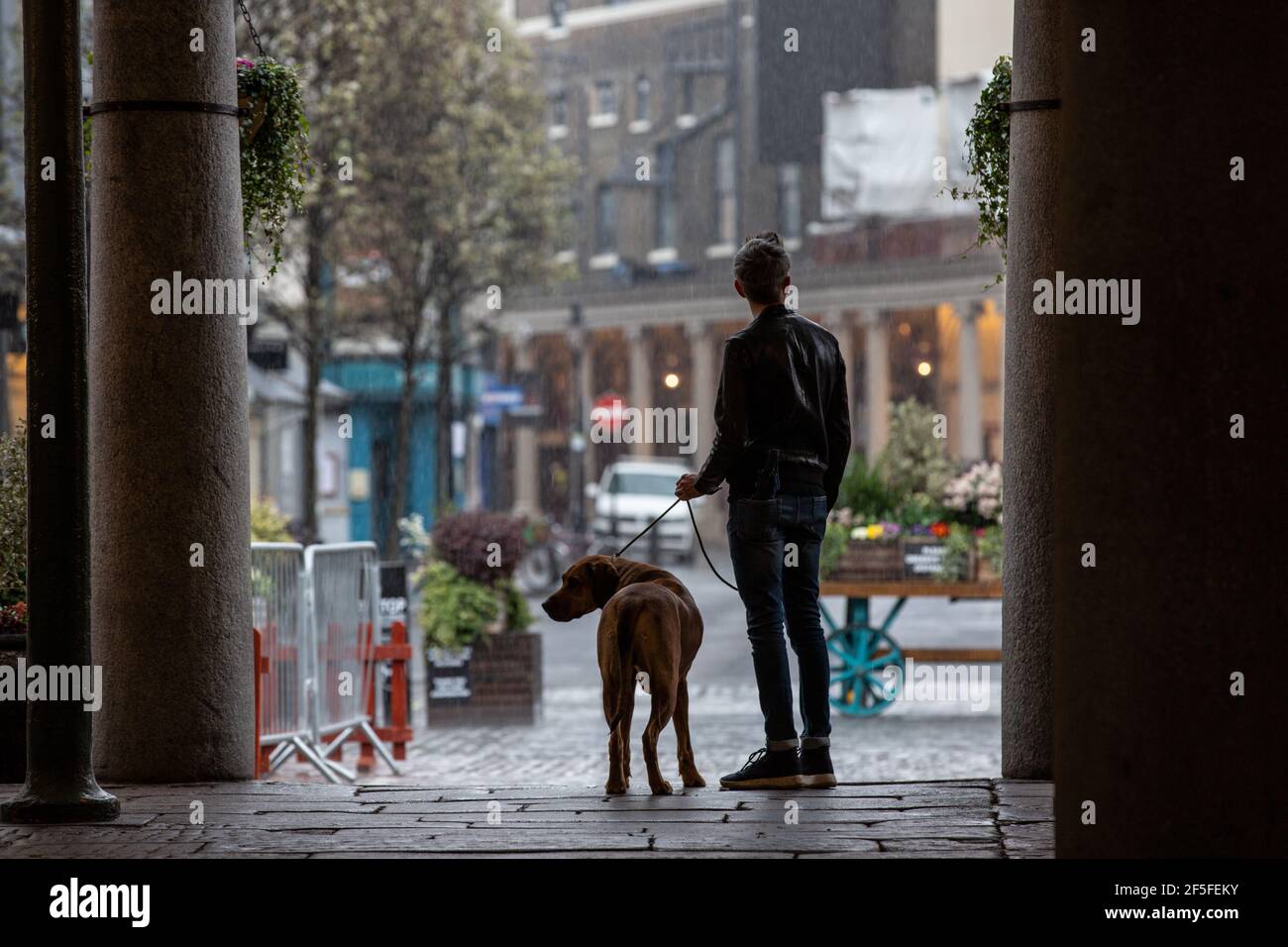 Un hombre y su perro miran hacia una plaza desierta de Covent Garden durante una lluvia de primavera, en el centro de Londres, Inglaterra, Reino Unido Foto de stock
