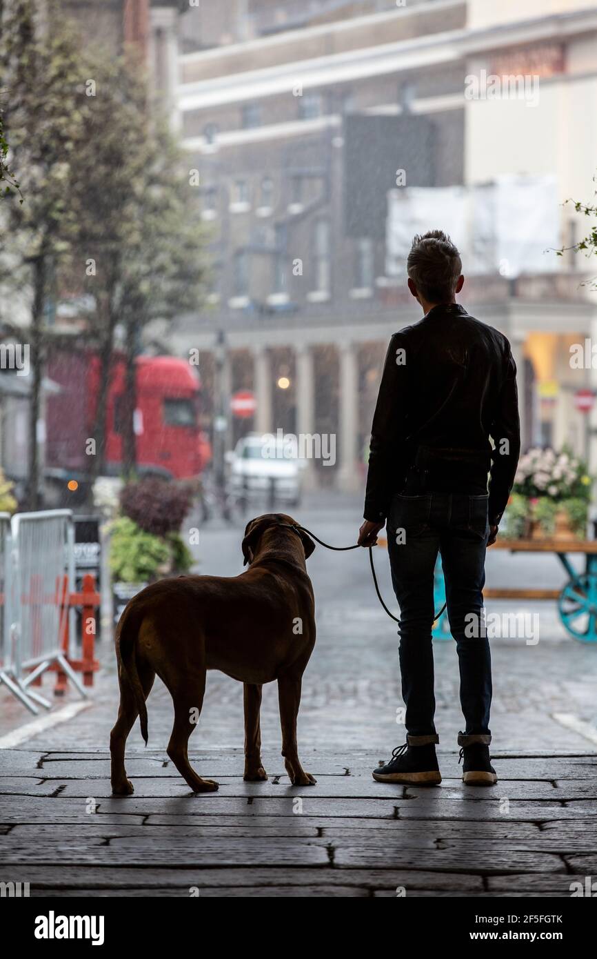 Un hombre y su perro miran hacia una plaza desierta de Covent Garden durante una lluvia de primavera, en el centro de Londres, Inglaterra, Reino Unido Foto de stock