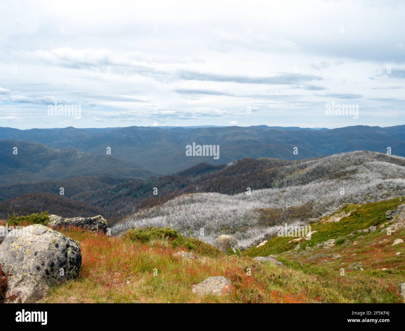 The View from Mount Stirling Loop Walking Track, en la Gran Cordillera divisoria, Victoria, Australia Foto de stock