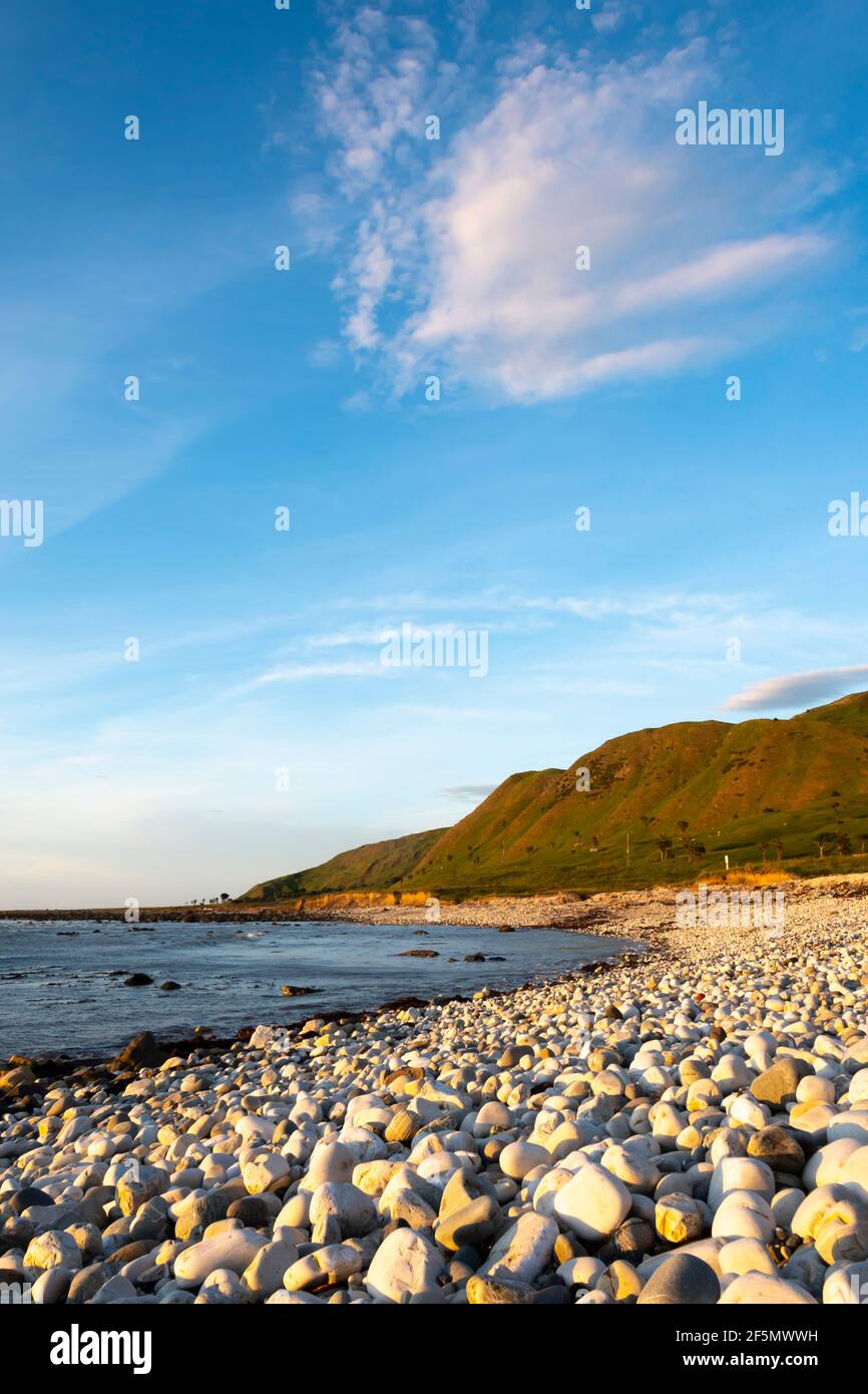 Playa con piedras redondas blancas, Glenburn, Wairarapa, Isla Norte, Nueva Zelanda Foto de stock