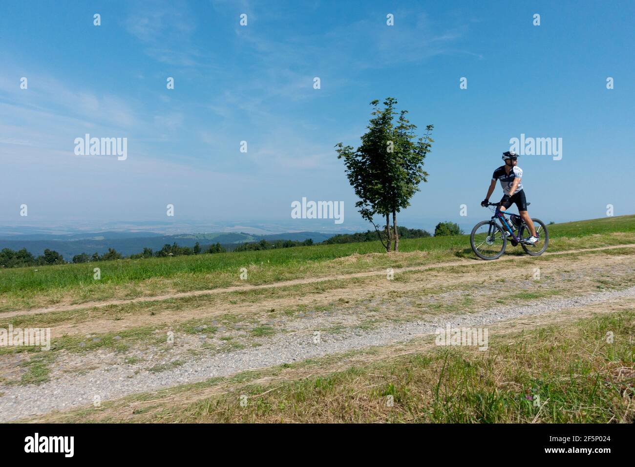 Un hombre en bicicleta solo en una carretera de campo en el campo con un pequeño árbol por la carretera, estilo de vida en un buen día, ciclista Foto de stock