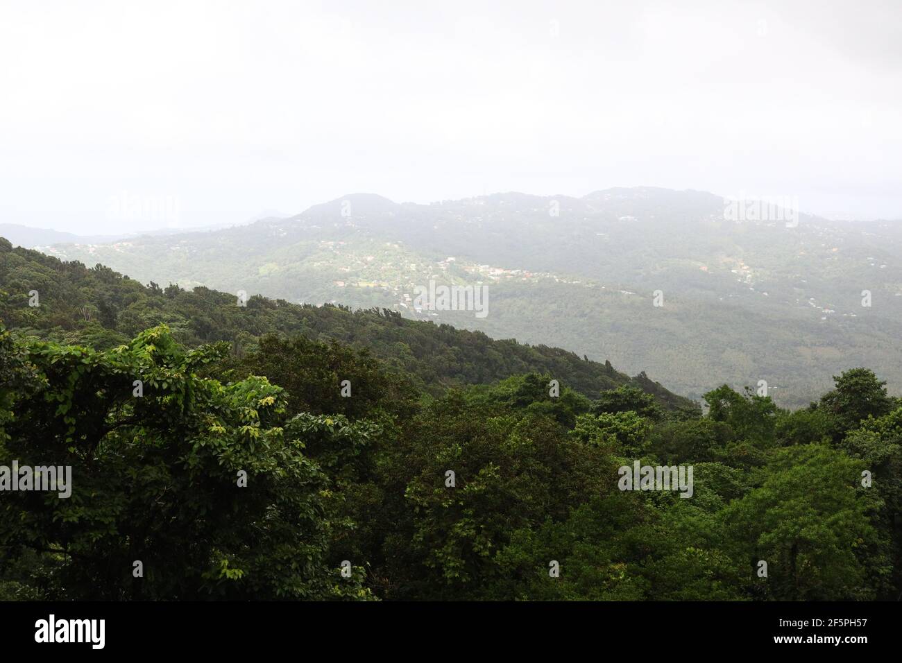 Vista de la bóveda forestal y las ondulantes montañas de Santa Lucía desde la selva tropical de Babonneau. Foto de stock
