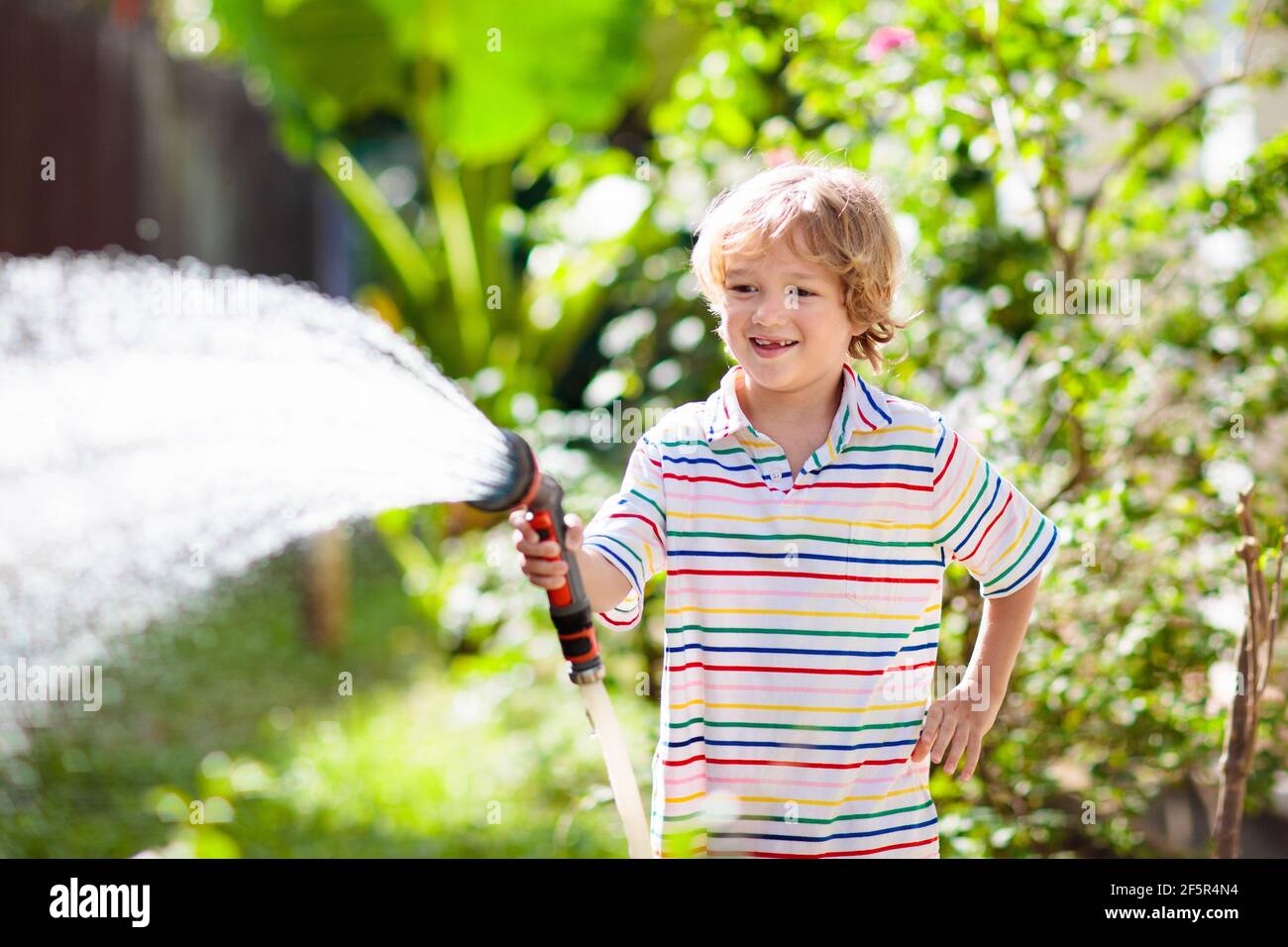 Niños regando flores y plantas en el jardín. Niño con manguera de agua en  el soleado y floreciente patio trasero. Pequeño niño jardinería. Diversión  de verano al aire libre en casa Fotografía