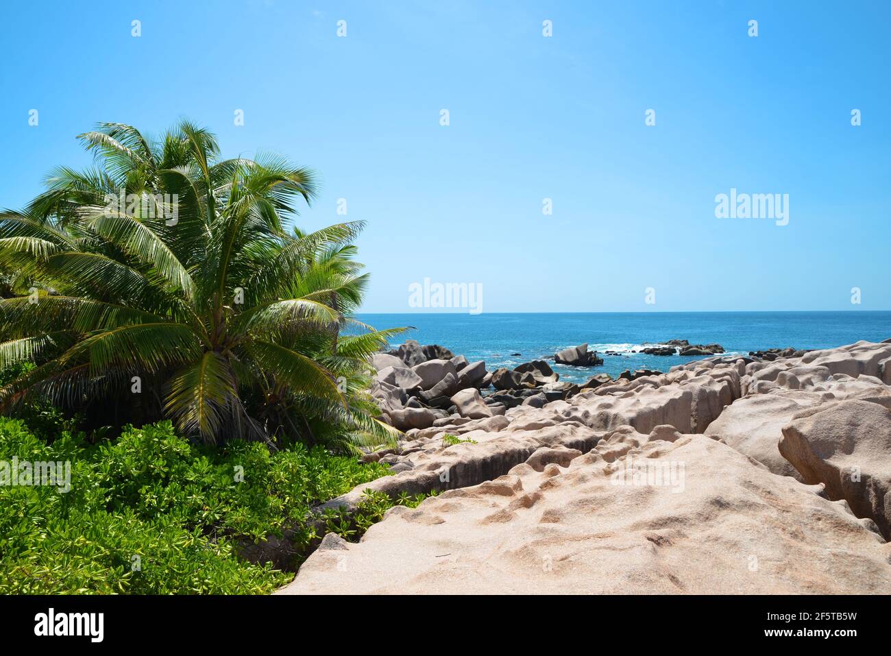Costa con palmeras de coco cerca de la playa de Grand l'Anse en la isla de la Digue, Océano Índico, Seychelles. Paisaje tropical. Foto de stock