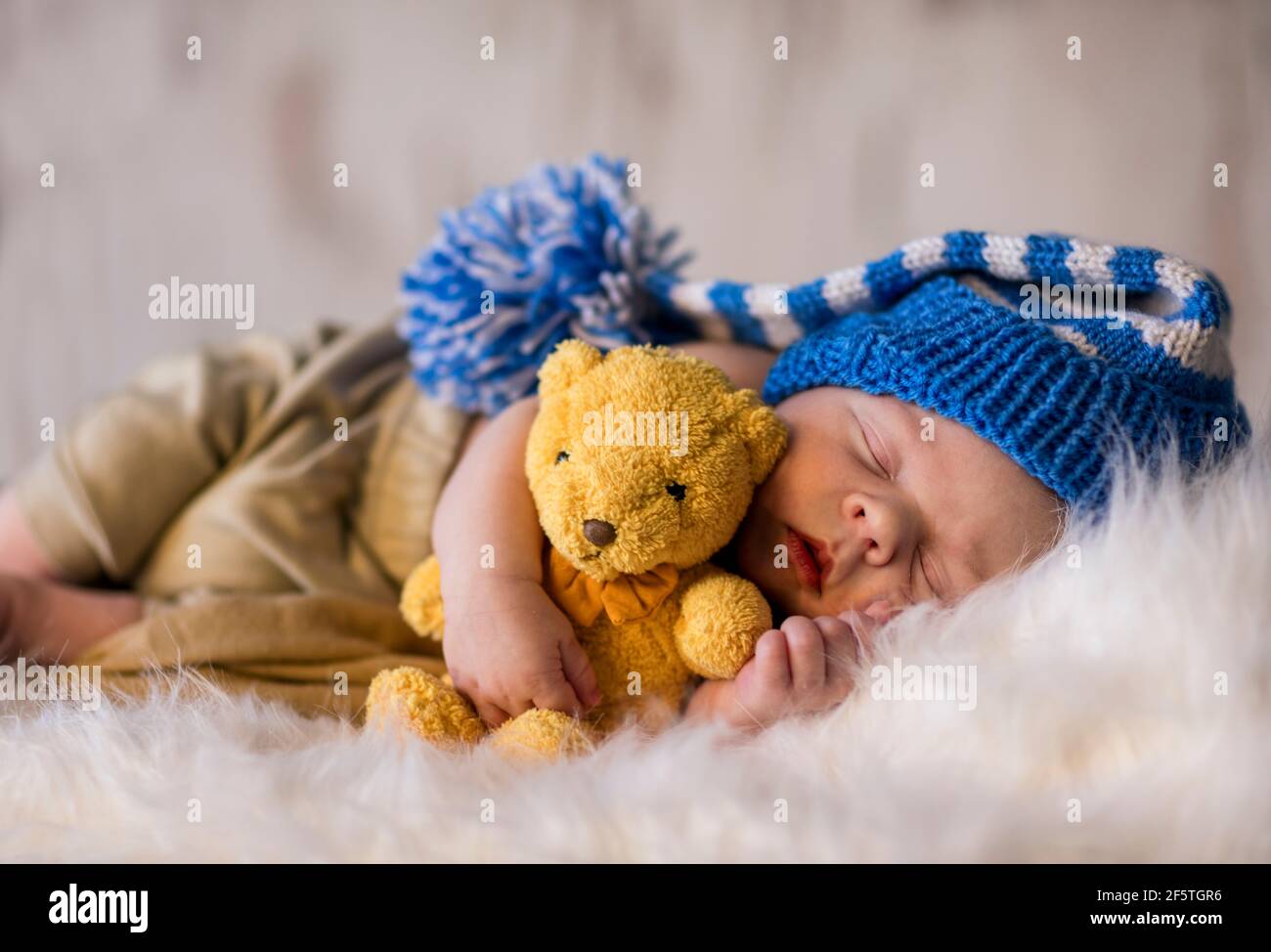 Bebé Recién Nacido Que Duerme En El Animal De Peluche. Fotos, retratos,  imágenes y fotografía de archivo libres de derecho. Image 63542073