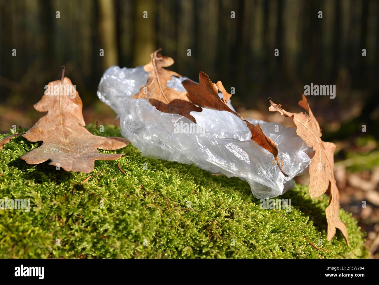 Bolsa de plástico sobre musgo. Contaminación basura en el bosque. Concepto de conservación de la naturaleza. Foto de stock