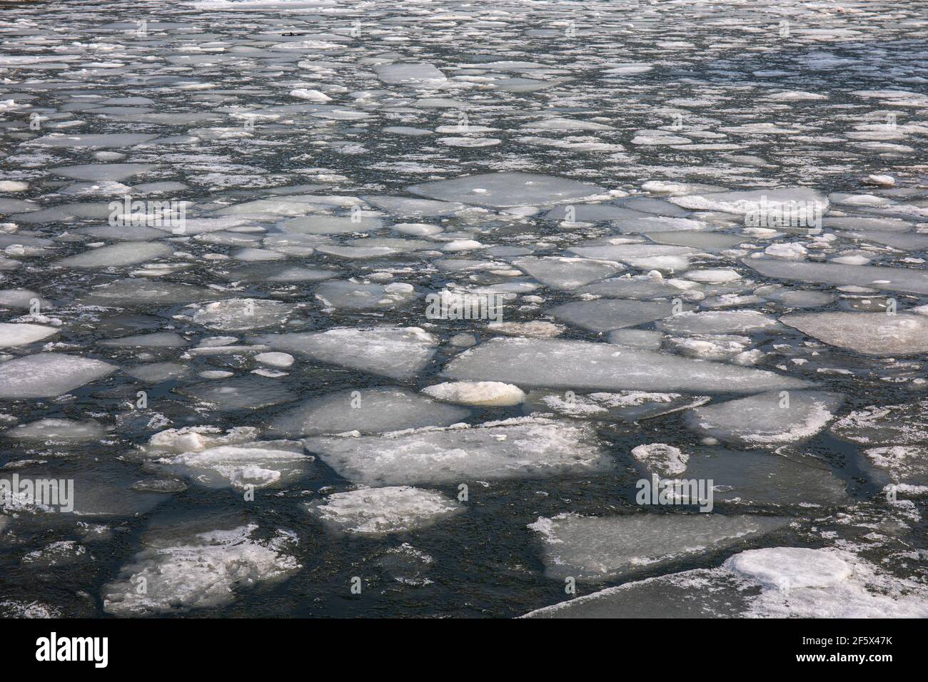 Hielos en la bahía de Hietalahti en Helsinki, Finlandia Foto de stock