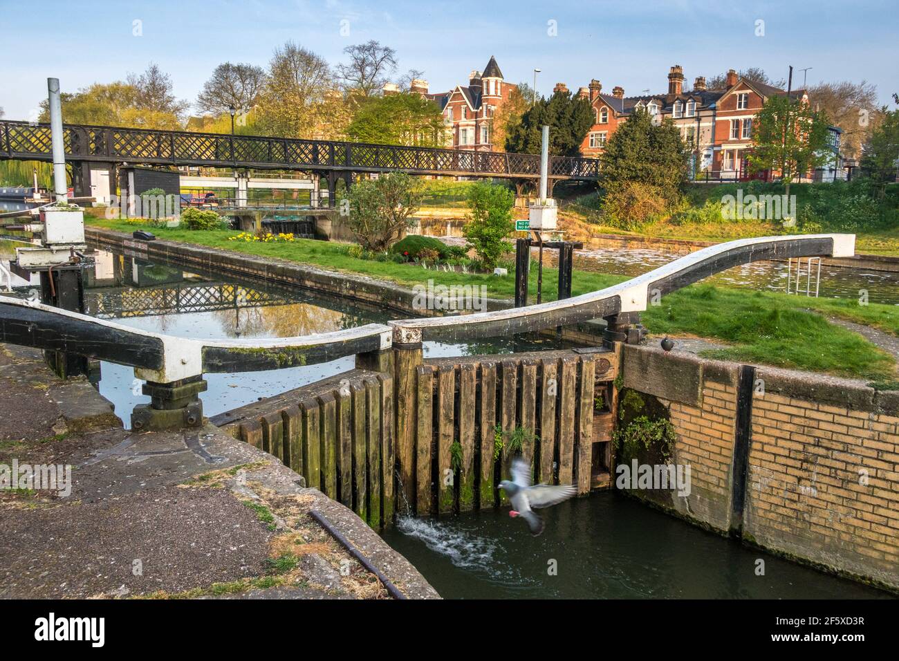 Jesus Green Lock, en el Río Cam Cambridge, Inglaterra Foto de stock