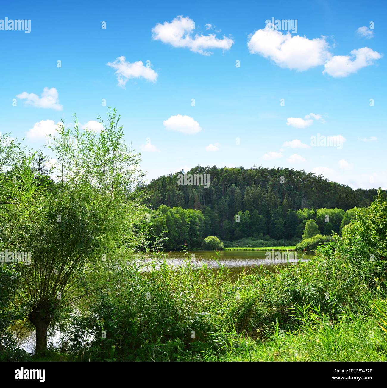 Vezak estanque en el Paraíso de Bohemia ( Cesky raj ). Paisaje veraniego en la República Checa. Foto de stock