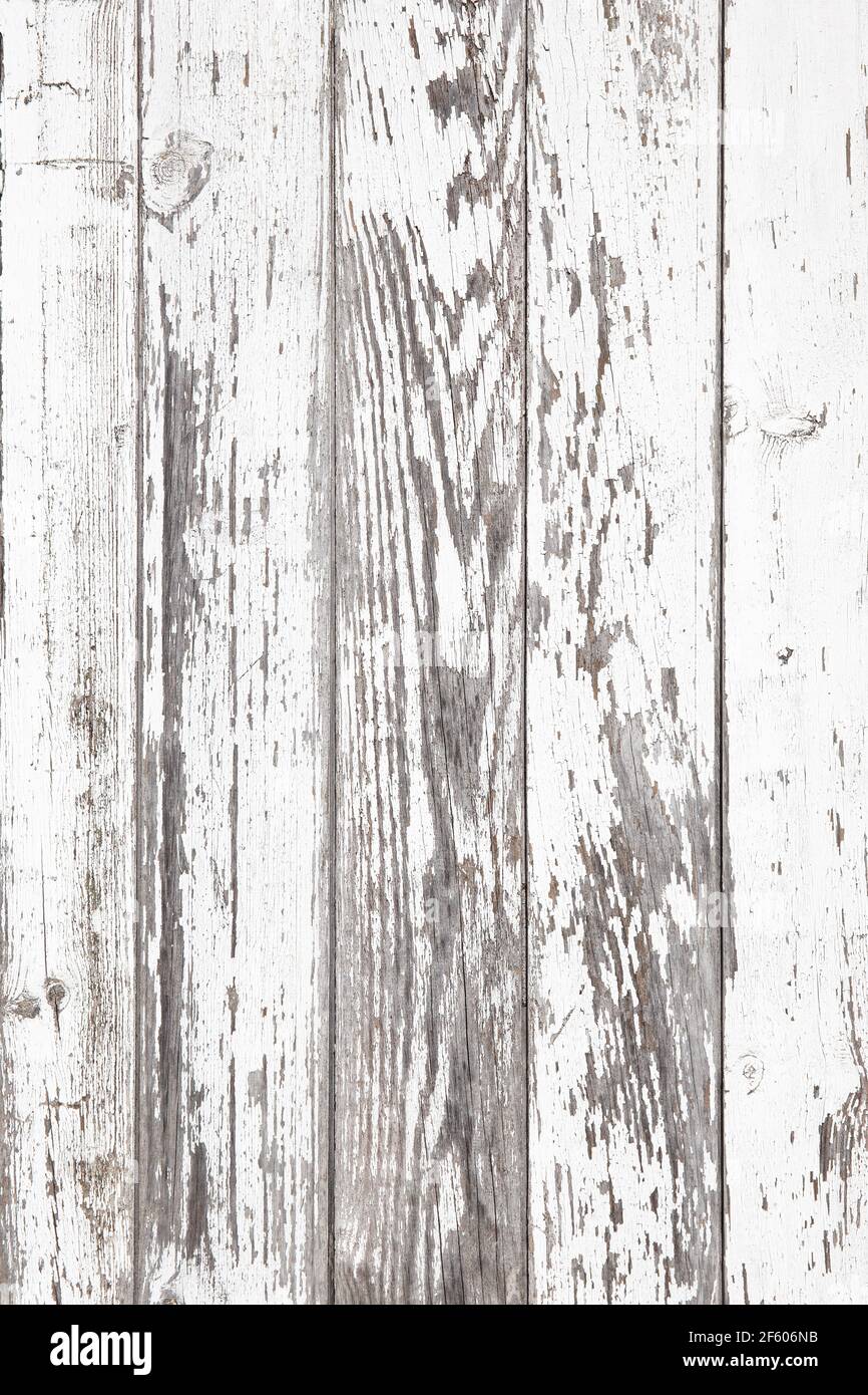 Se ha aplicado pintura blanca a un tablero de madera antiguo con un fondo  blanco y una textura de pintura w