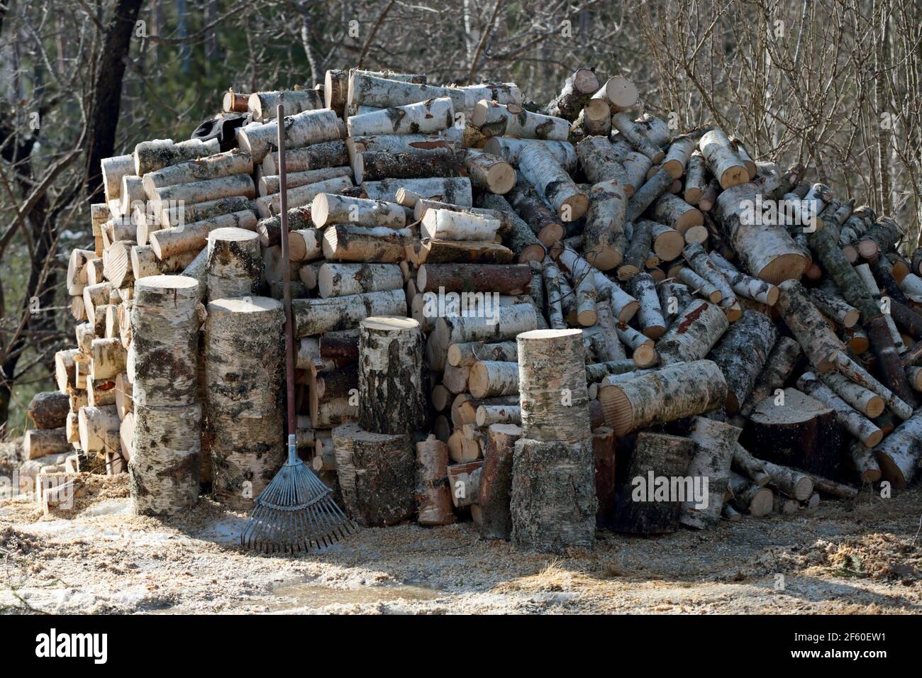 Un rastrillo apoyado en una gran pila de troncos Foto de stock