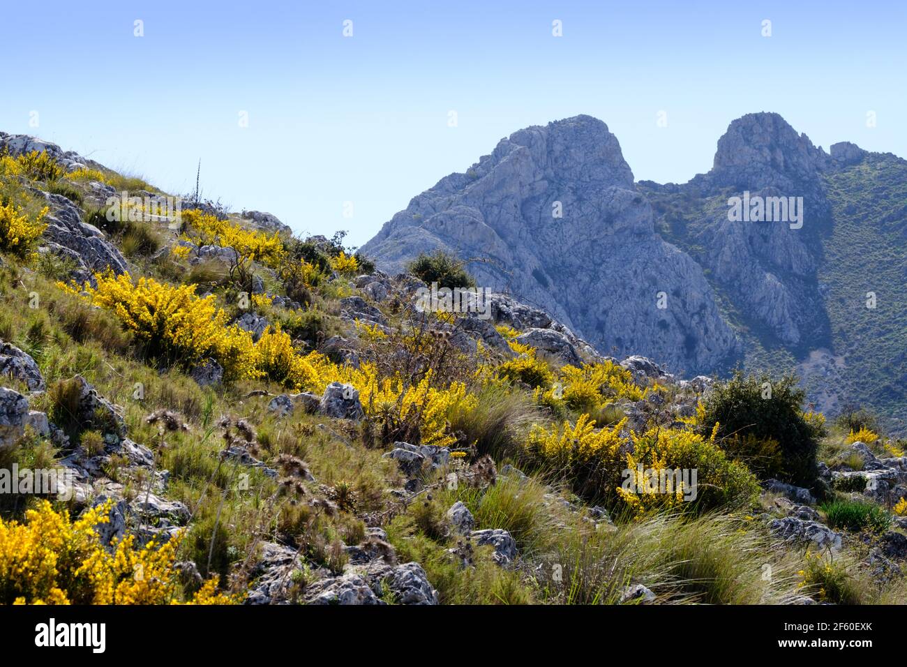 Senderismo camino la Cuna y Tajo de la U, paso Zafarraya, Andalucía, España, Europa Foto de stock