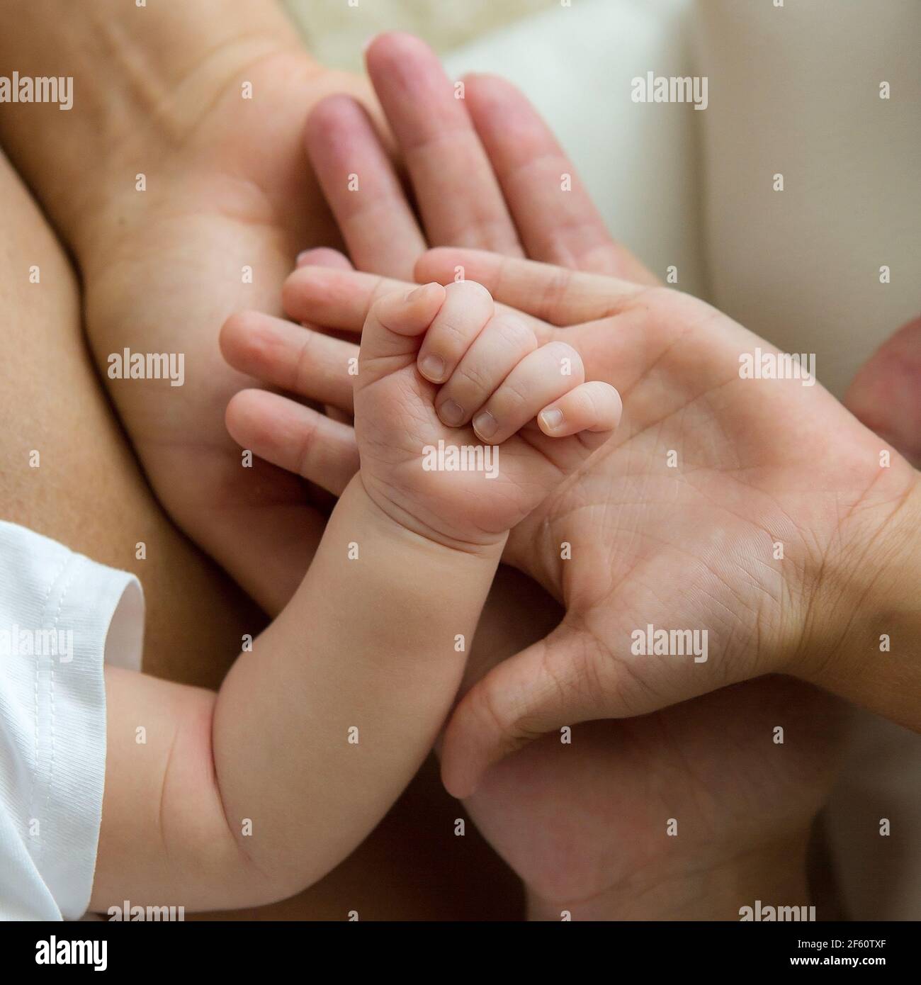 Manos De La Familia Bebe Hijo Madre Y Padre Feliz Familia Concepto De Familia Unidad Proteccion Apoyo Y Felicidad Centrese En El Mango Del Lactante Fotografia De Stock Alamy