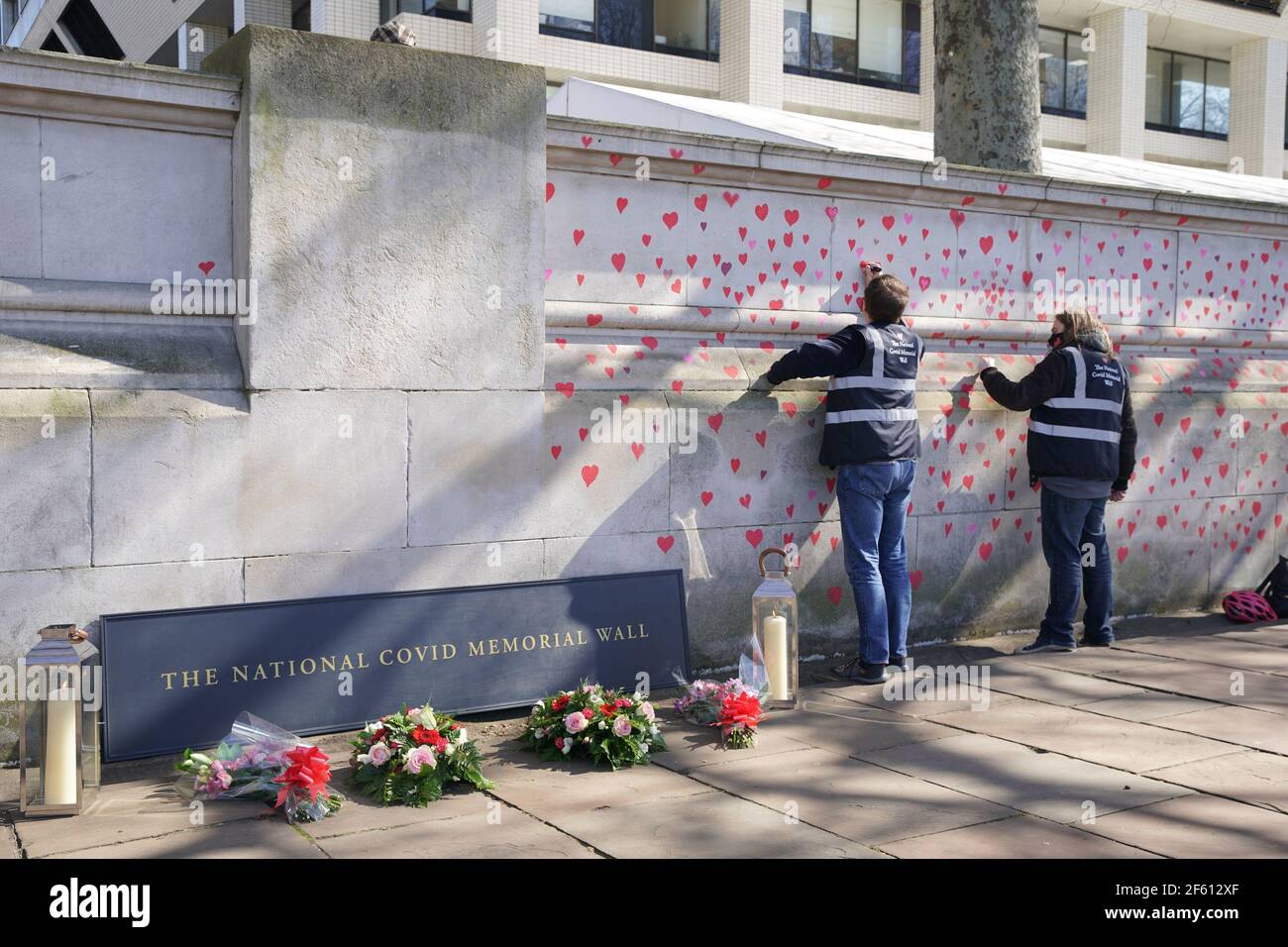 Gente pintando corazones rojos en el muro Conmemorativo COVID-19 frente a las Casas del Parlamento en Embankment, en el centro de Londres, en memoria de las más de 145.000 personas que han muerto en el Reino Unido a causa del coronavirus. Fecha del cuadro: Lunes 29 de marzo de 2021. Foto de stock