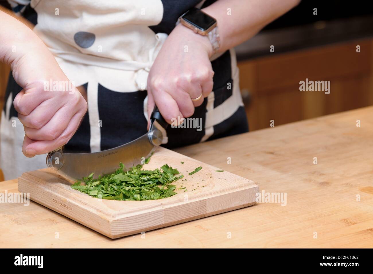Un cocinero pica hierba fresca, cilantro, Coriandrum sativum, en una cocina doméstica utilizando un coro de Hachoir o ha cortador y tabla de cortar Foto de stock