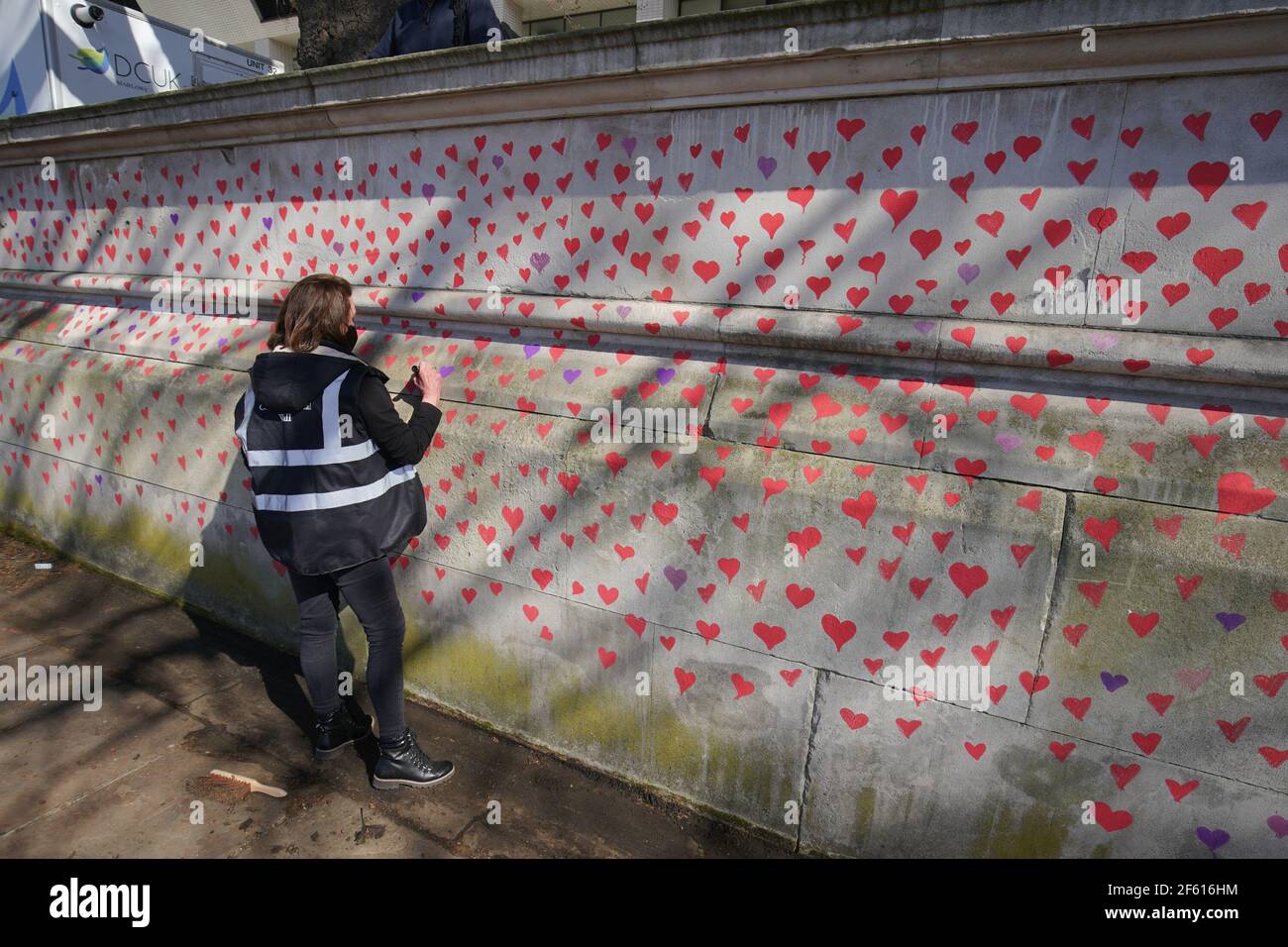 Una mujer pintando corazones rojos en el muro Conmemorativo COVID-19 frente a las Casas del Parlamento en Embankment, en el centro de Londres, en memoria de las más de 145.000 personas que han muerto en el Reino Unido a causa del coronavirus. Fecha del cuadro: Lunes 29 de marzo de 2021. Foto de stock