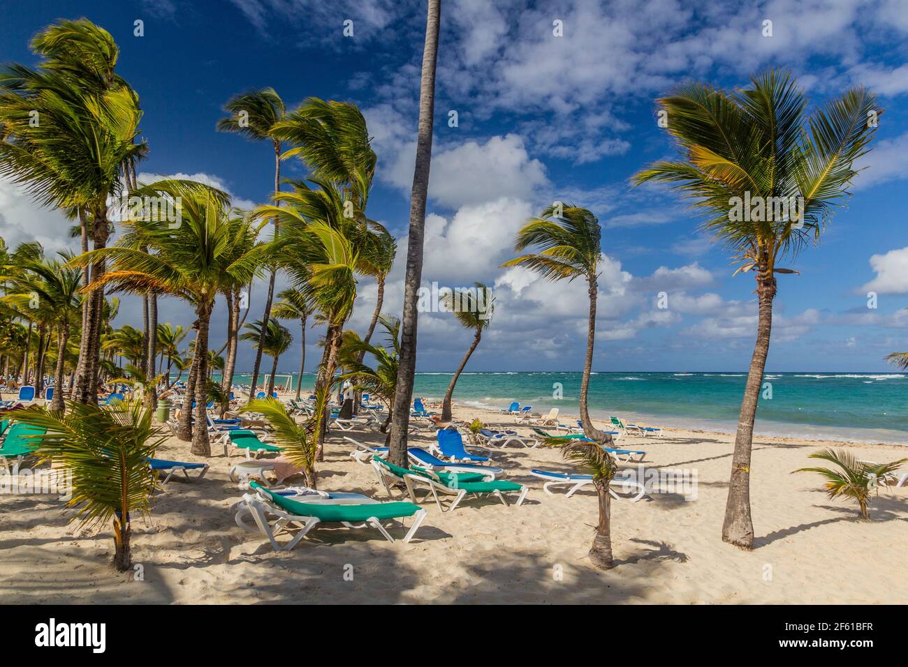 Palmeras en la playa Bávaro, República Dominicana Foto de stock