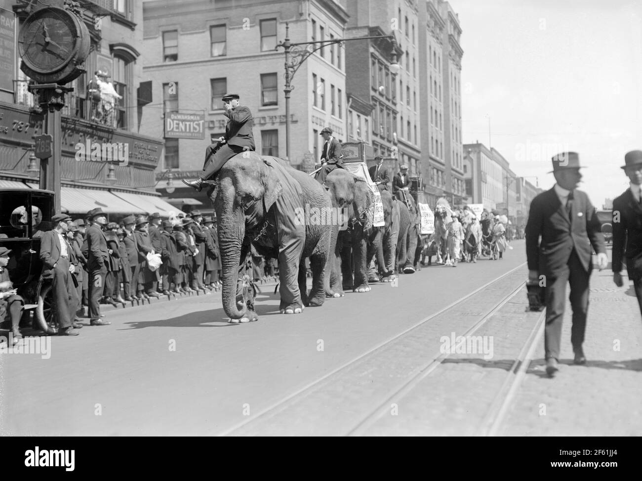 Elefantes en protesta Marzo, 1920 Foto de stock