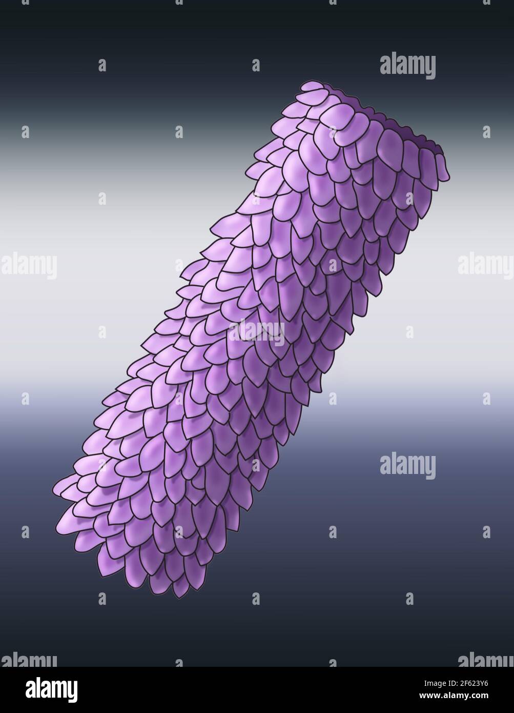 Forma del virus, poliédrico, Ilustración Foto de stock