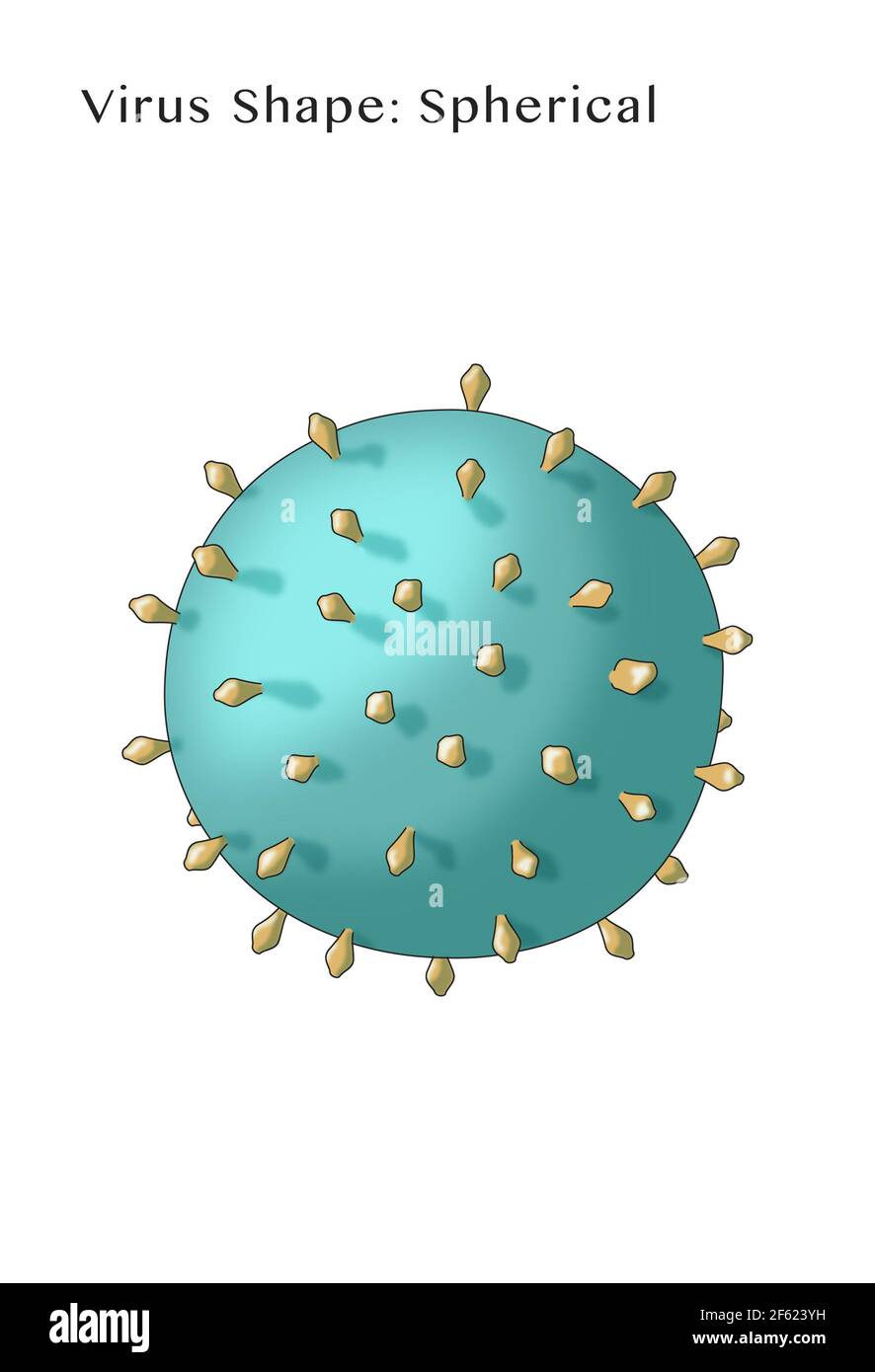Forma del virus, envuelta, Ilustración Foto de stock