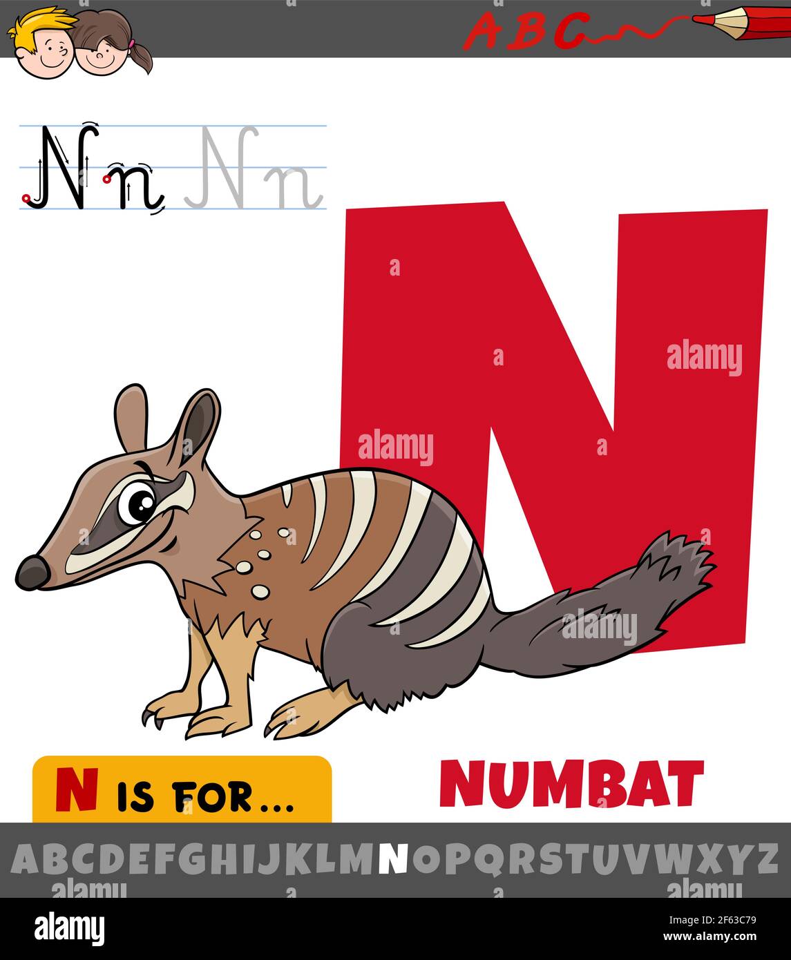 Ilustración de dibujos animados educativos de la letra N del alfabeto con numbat carácter animal para niños Ilustración del Vector