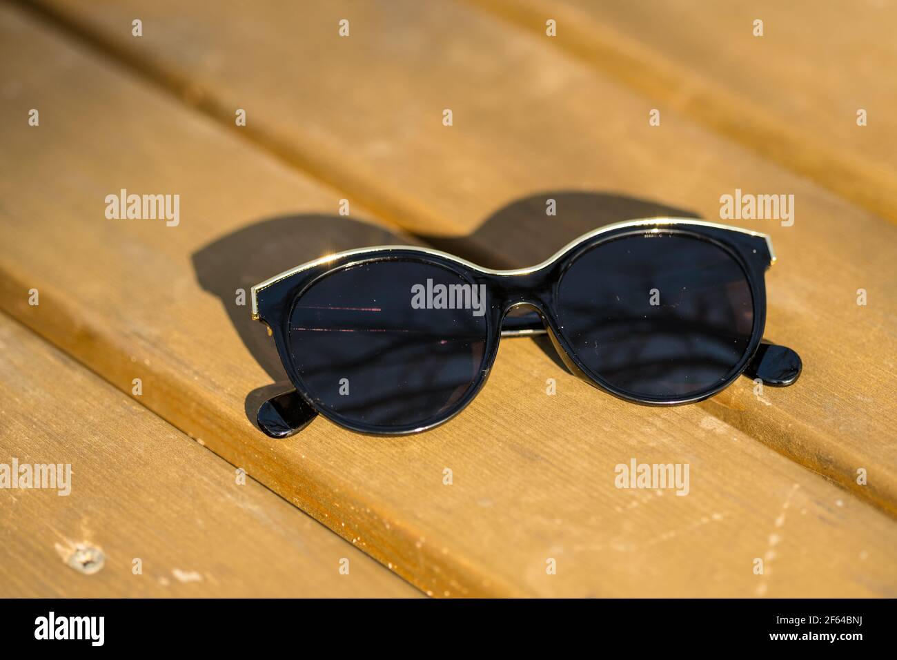Modelo de de sol de para mujeres con lentes negras redondas grandes y marco negro disparar en día de verano closeup. Enfoque selectivo Fotografía de stock - Alamy