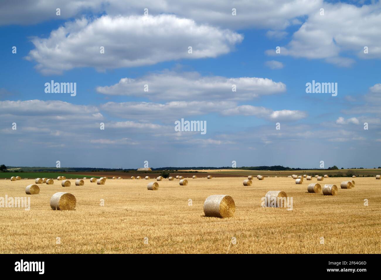 Reino Unido, Yorkshire del Sur, Doncaster, Drum Hay Bales en el campo cerca de Melton Alto Foto de stock