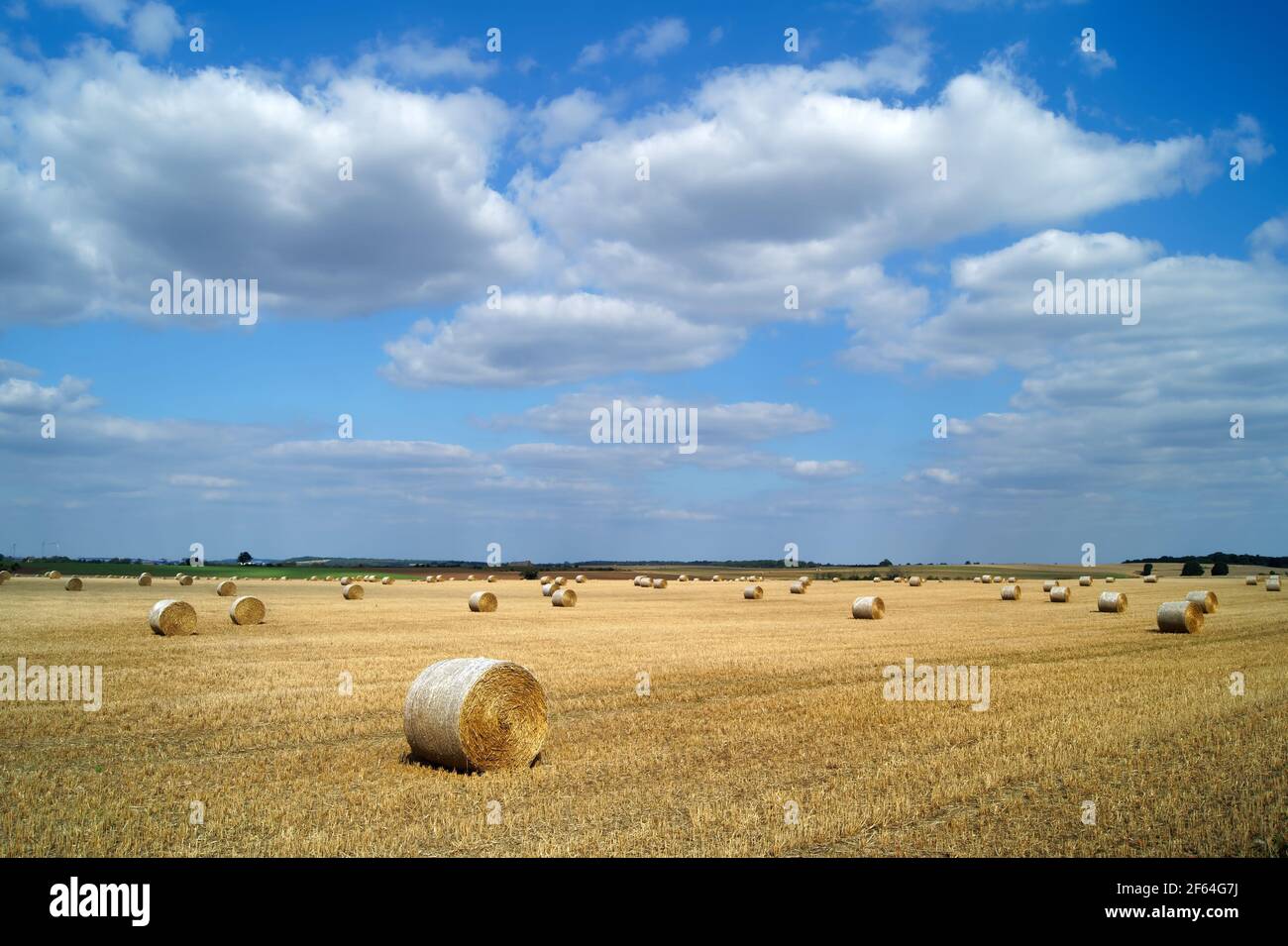 Reino Unido, Yorkshire del Sur, Doncaster, Drum Hay Bales en el campo cerca de Melton Alto Foto de stock